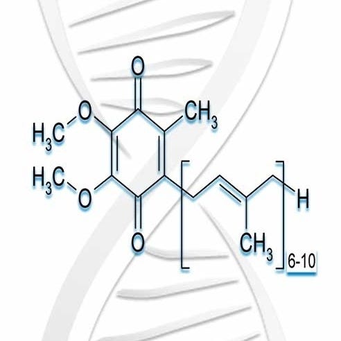 CoQ10 as a Nootropic: Biohacking the Mitochondria for Inspiration and Immortality
