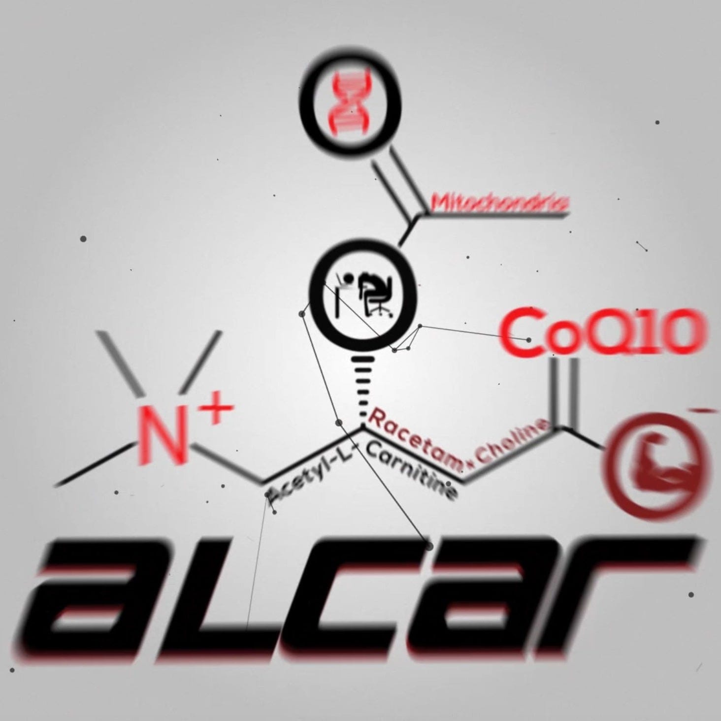 ALCAR a Mitochondria Empowering Antiaging Nootropic for Biohacking Hepatic Encephalopathy