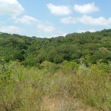 Mythological Africans Podcast