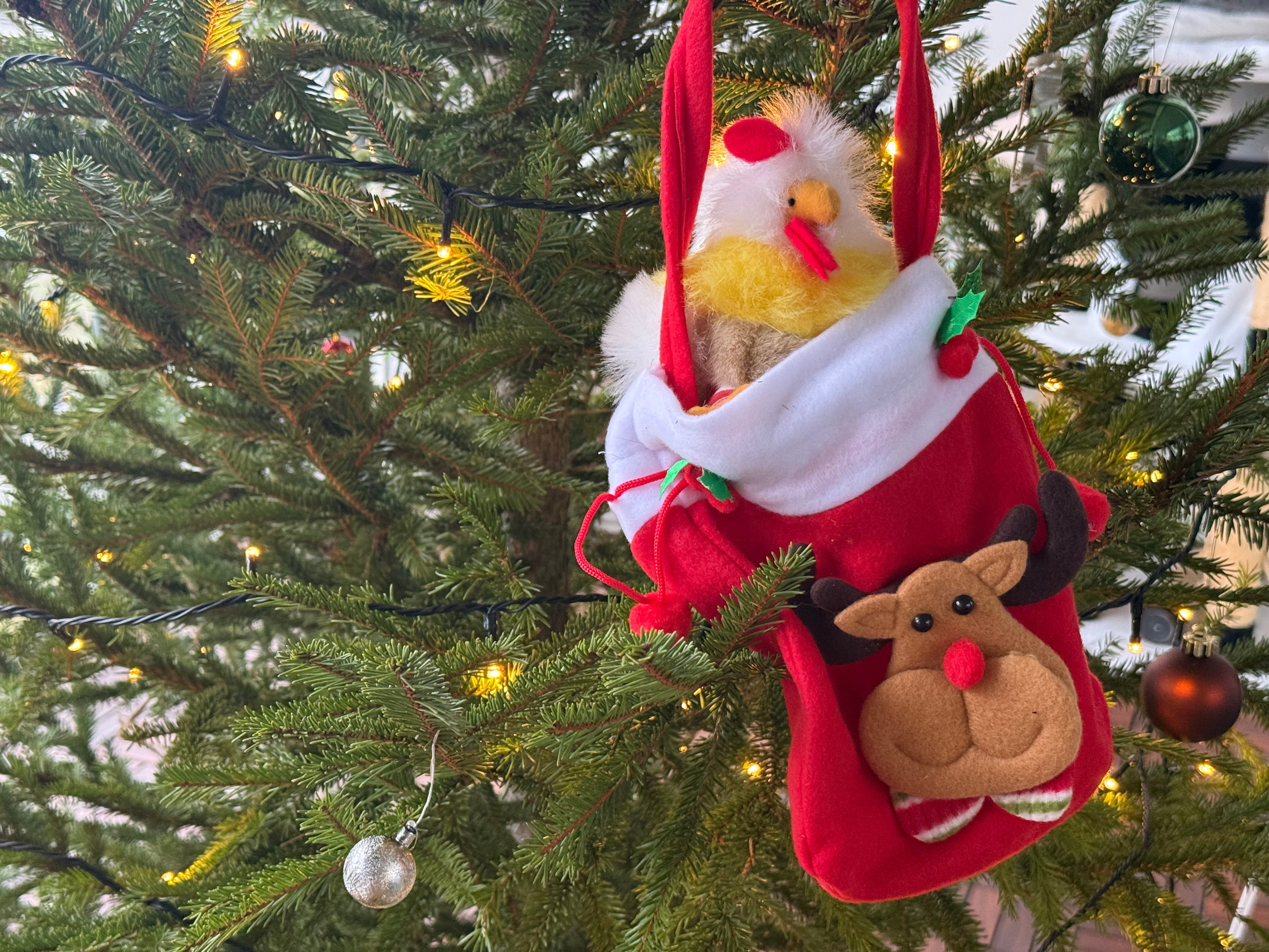 Tales under the cat tree