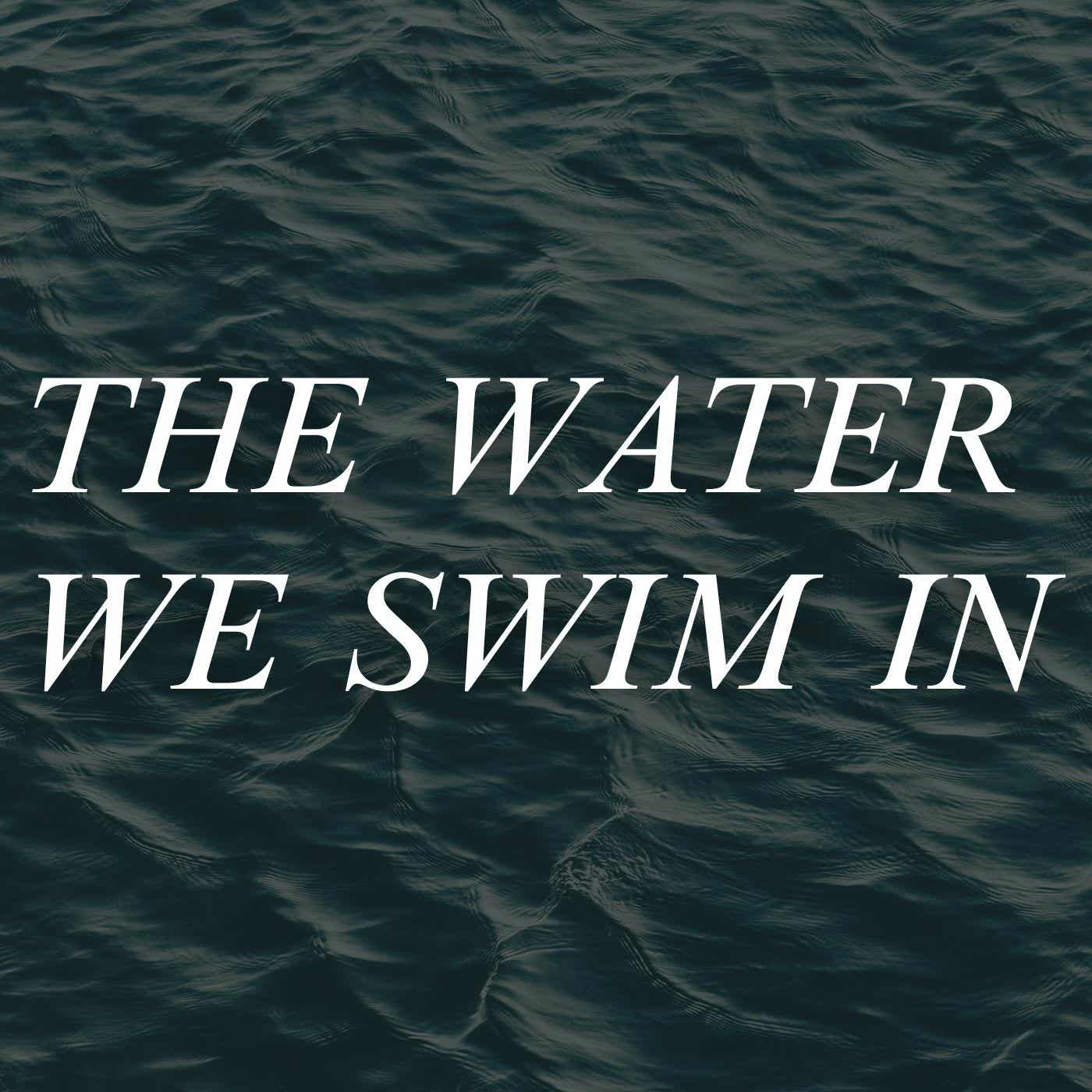 The Water We Swim In podcast artwork