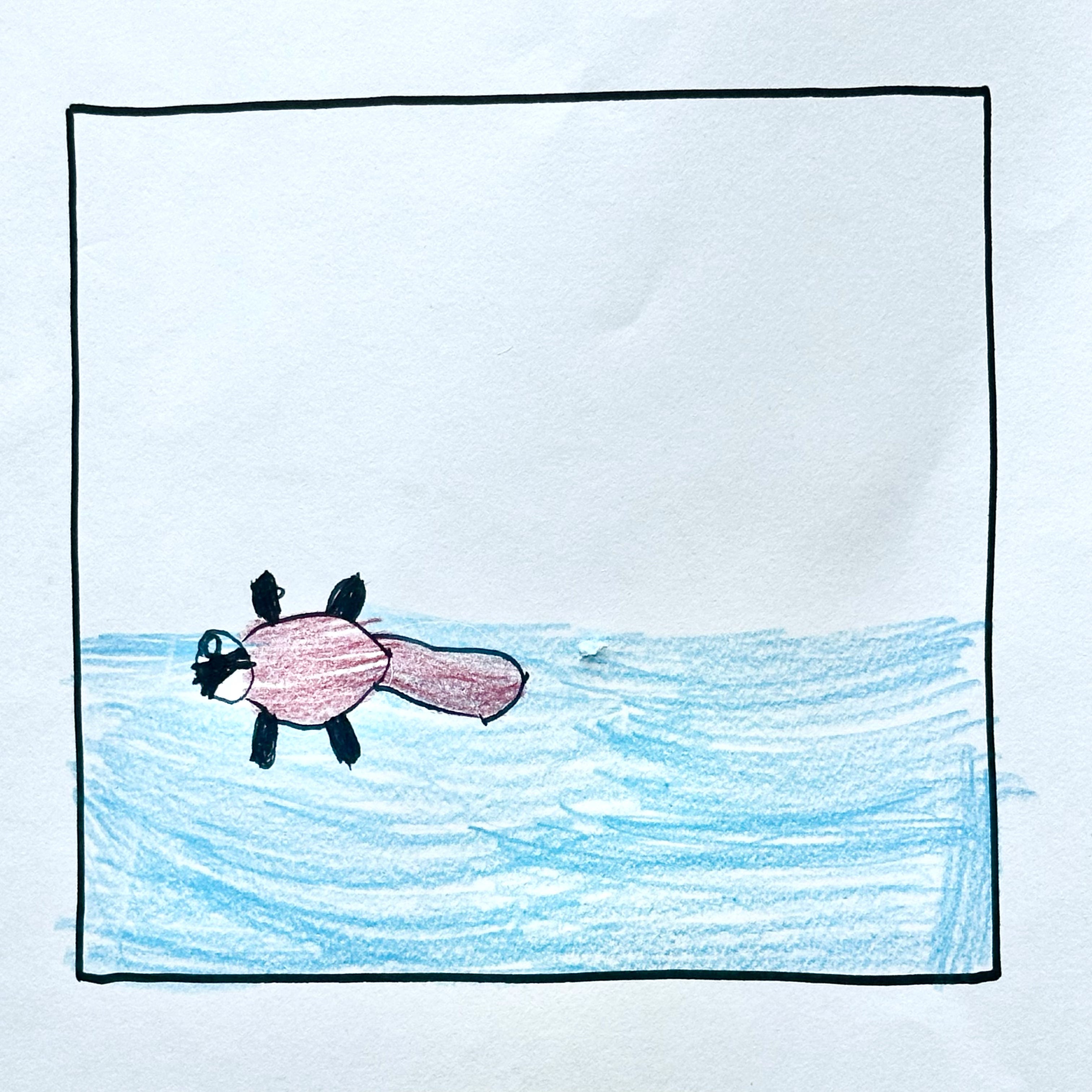 Ep 3 - Otters episode artwork