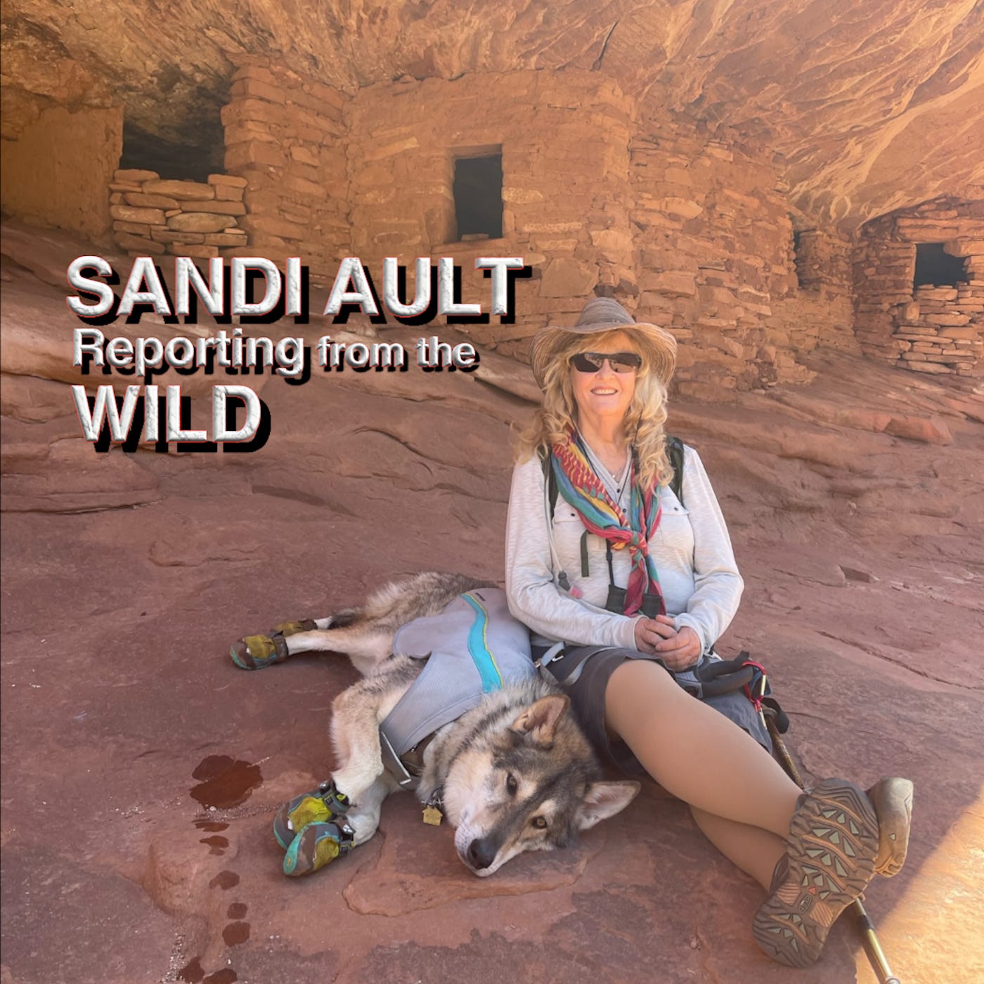 SANDI AULT—Reporting from the WILD