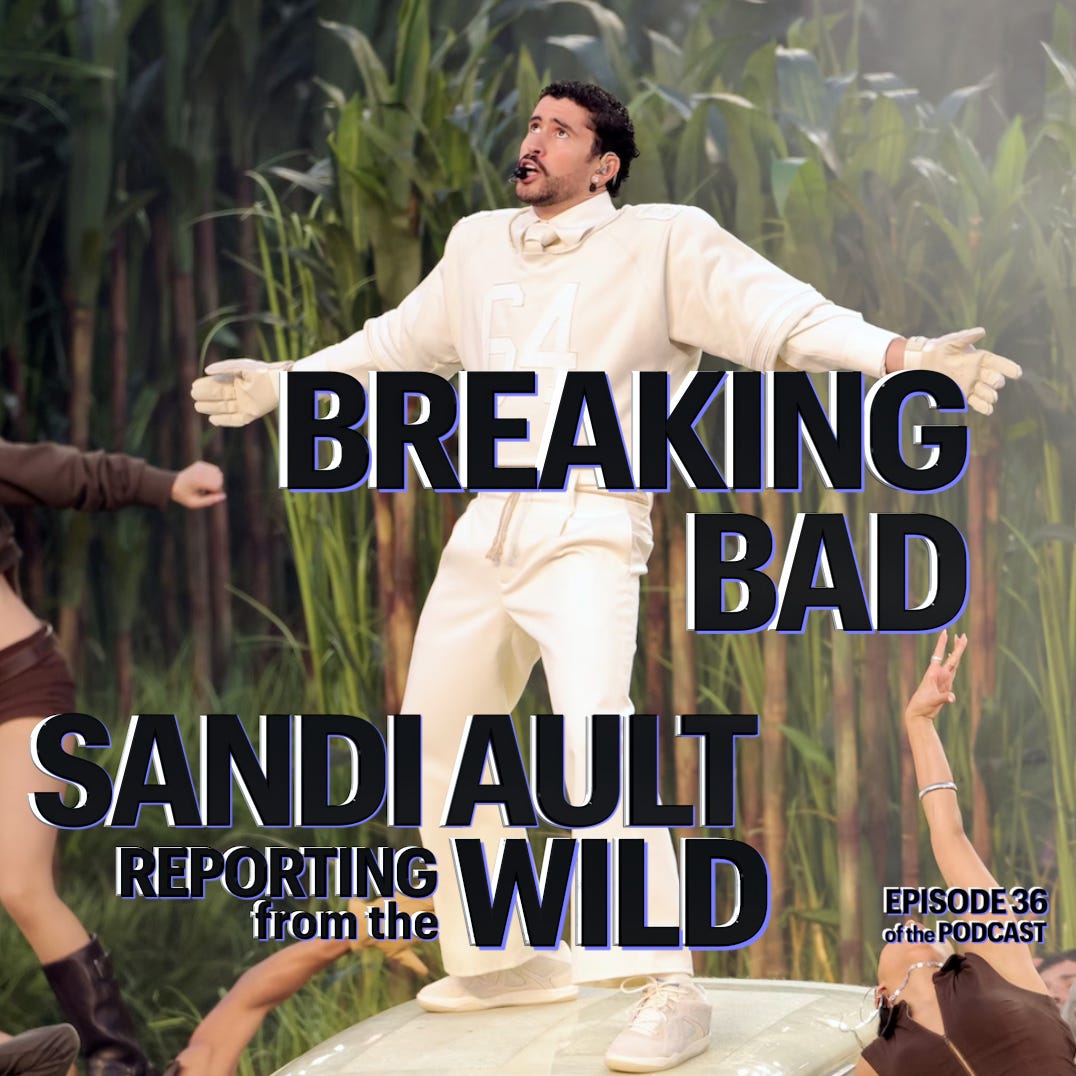 SANDI AULT—Reporting from the WILD