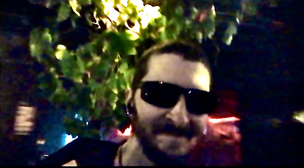 Life Of The Party: Greening The Dance Floor As A Grow-Grow Plant Dancer | 425