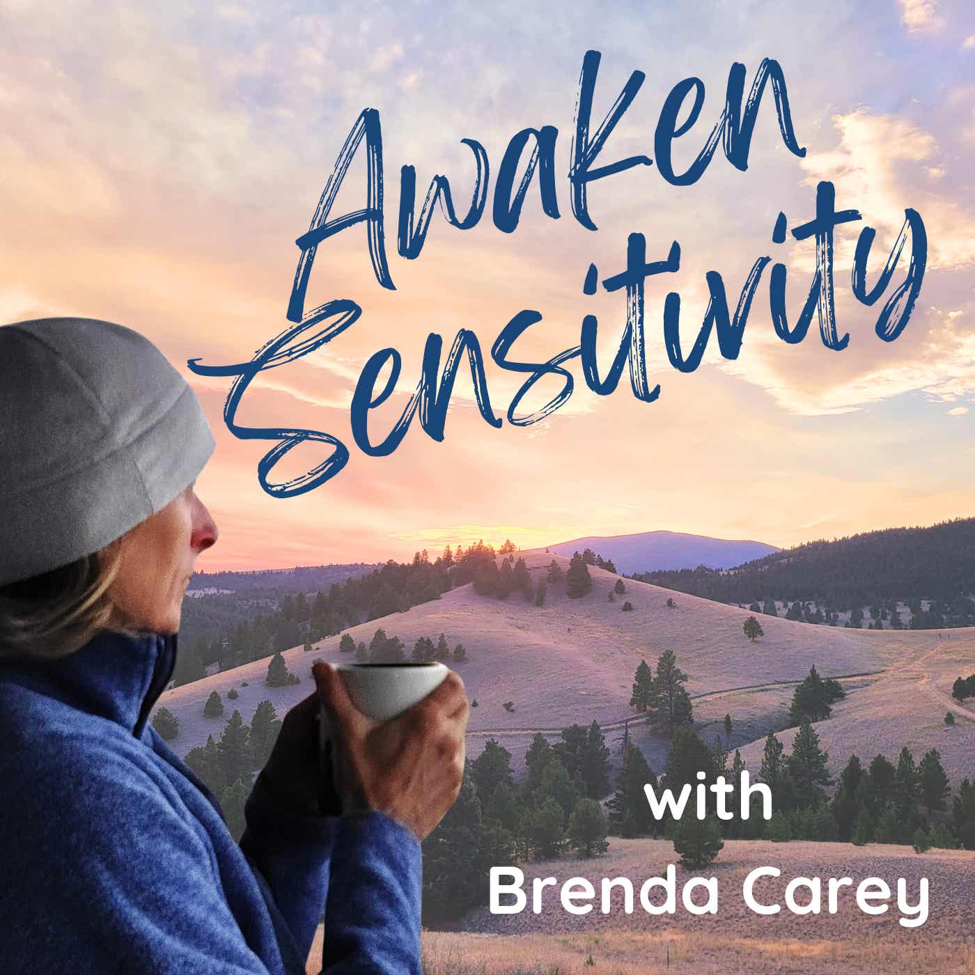 Awaken Sensitivity: Guidance & Meditations for Highly Sensitive Souls with Brenda Carey
