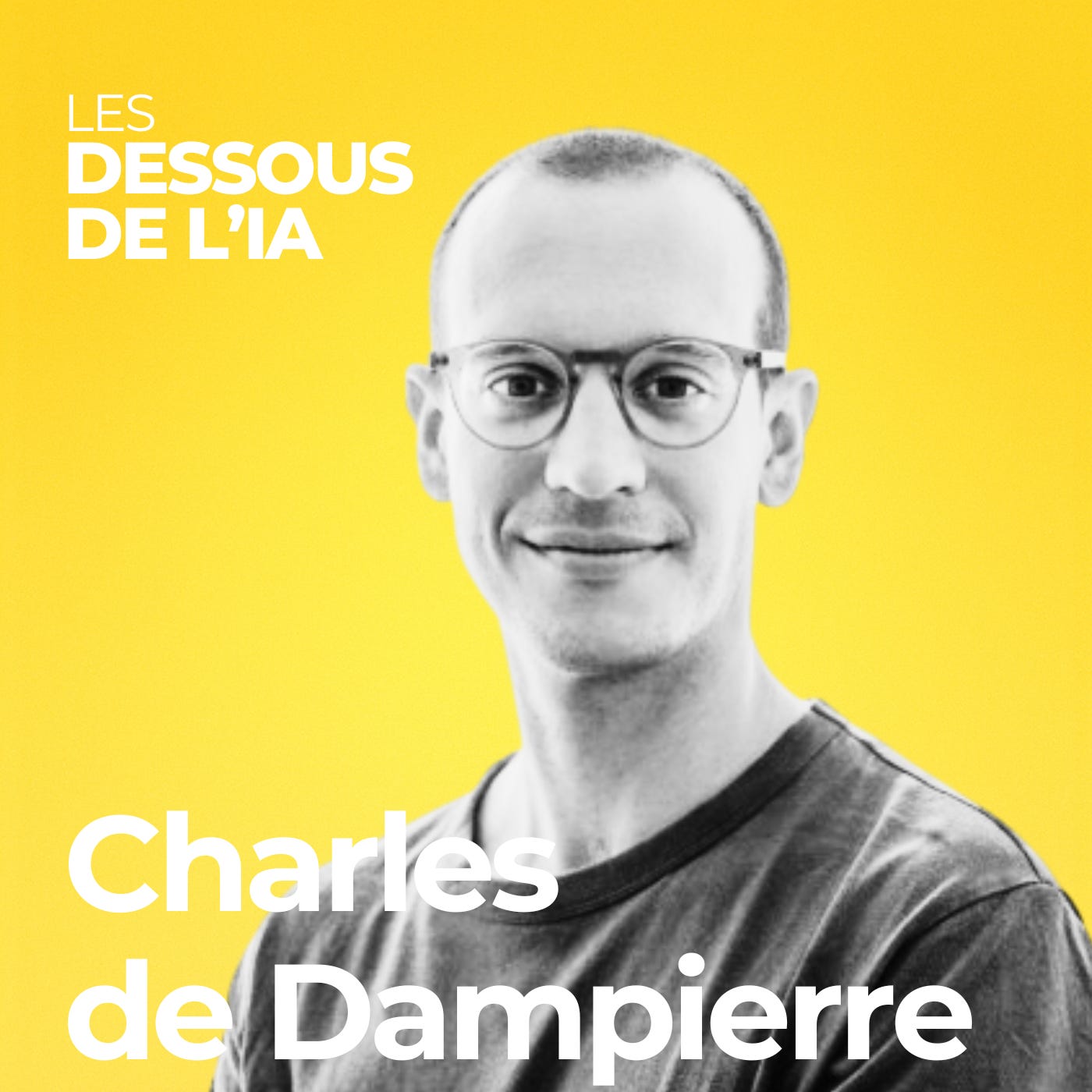 41. Ce que notre usage de l’IA générative dit de nous et de nos organisations - Charles de Dampierre 41. Ce que notre usage de l’IA générative dit de nous et de nos organisations - Charles de Dampierre