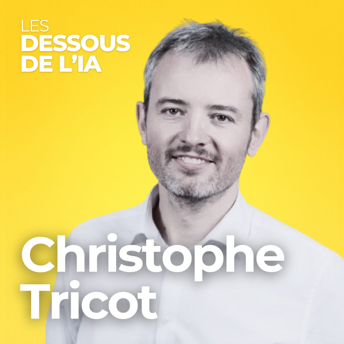 Gagner la guerre des usages et préserver nos savoir-faire à l’ère des IA génératives - Christophe Tricot Gagner la guerre des usages et préserver nos savoir-faire à l’ère des IA génératives - Christophe Tricot