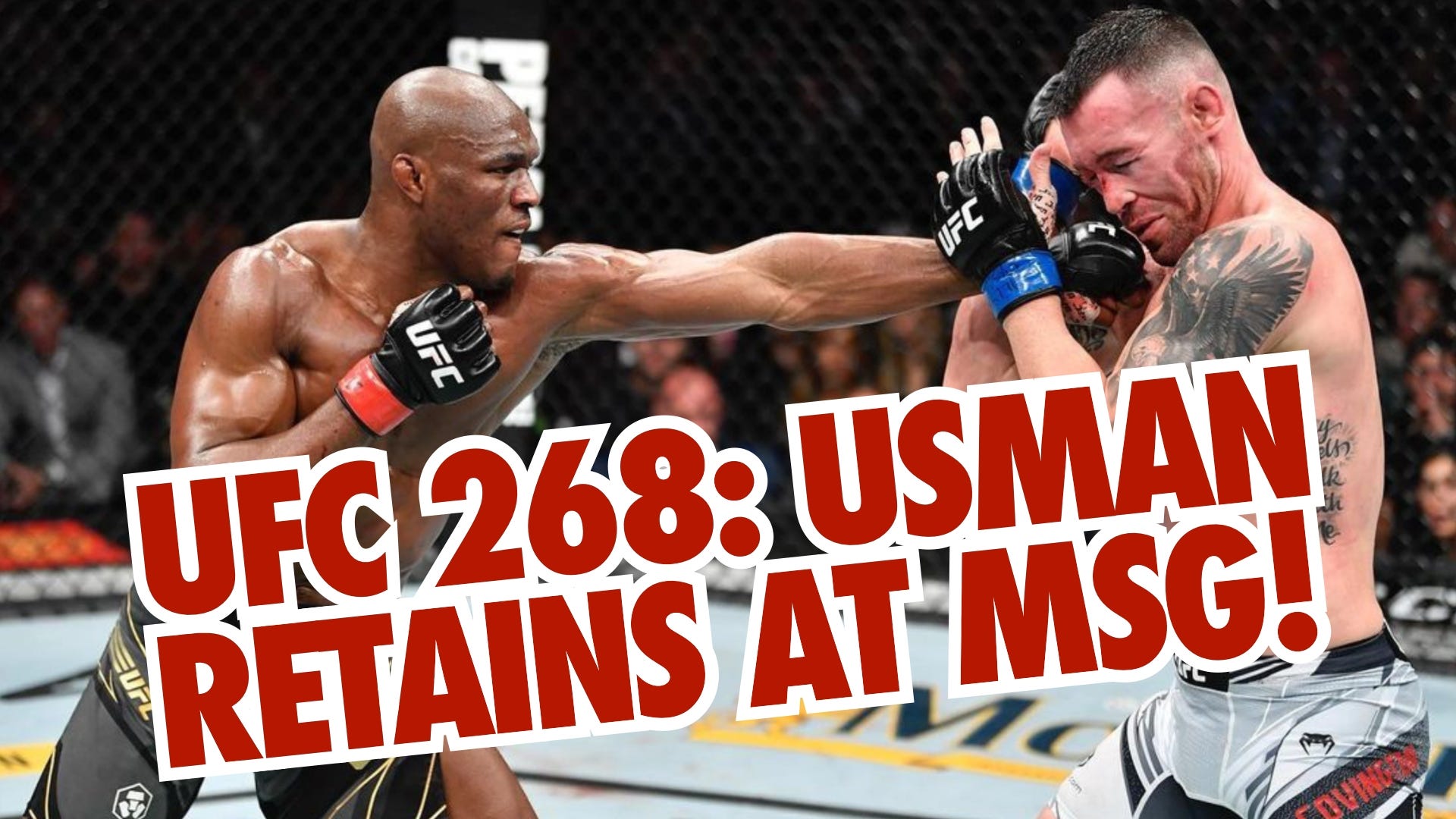 The Brit Pack MMA Podcast