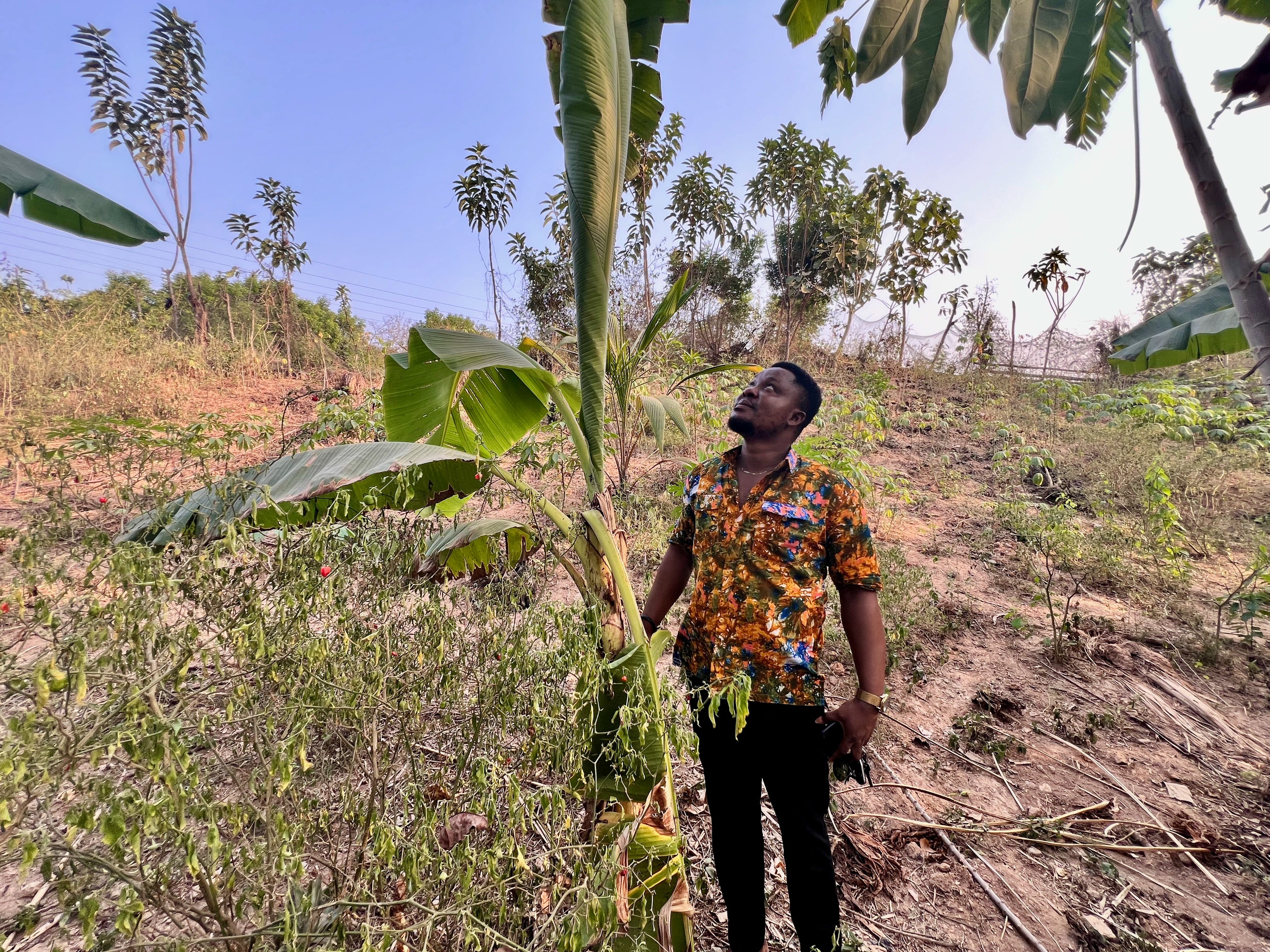 EarthStory in Ghana Part 2: Gardens of Ghana (Video)