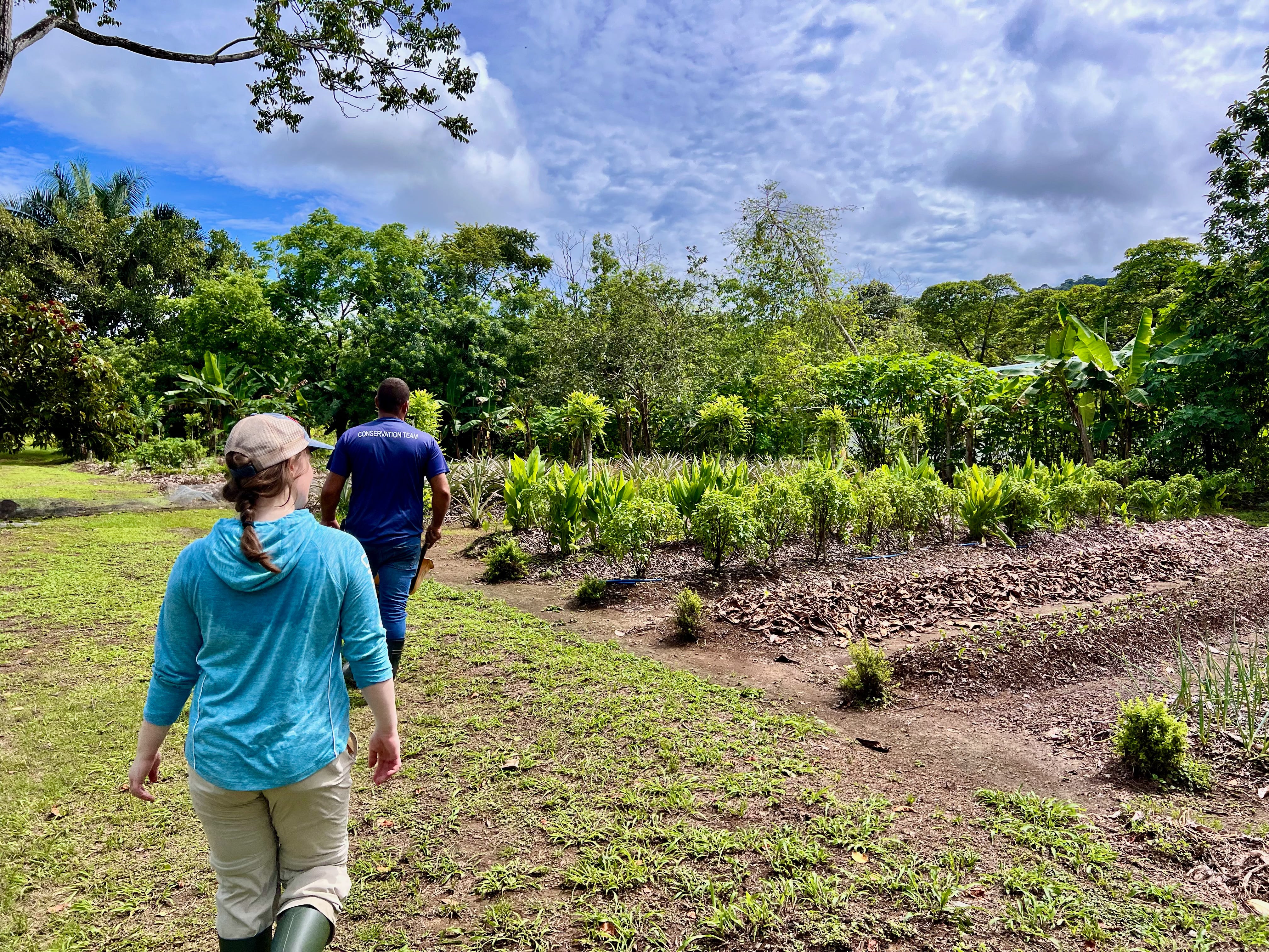Feeding the Rainforest at Osa Conservation