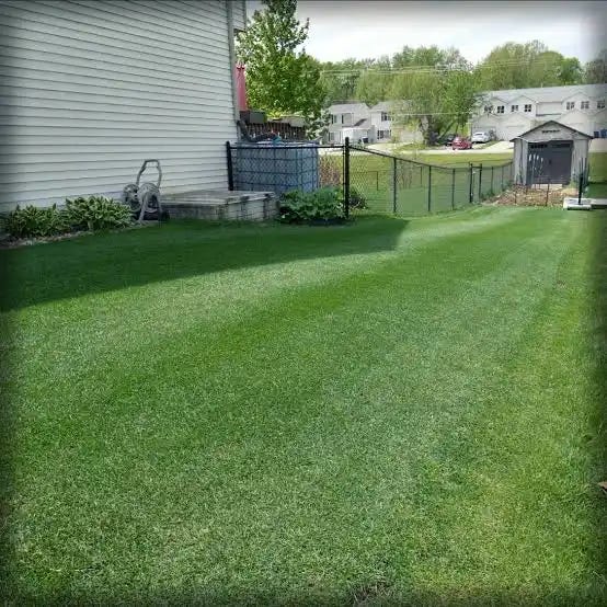 The American Lawn Is a Colonial Project: Grass, the Dream, and Ecological Collapse episode artwork