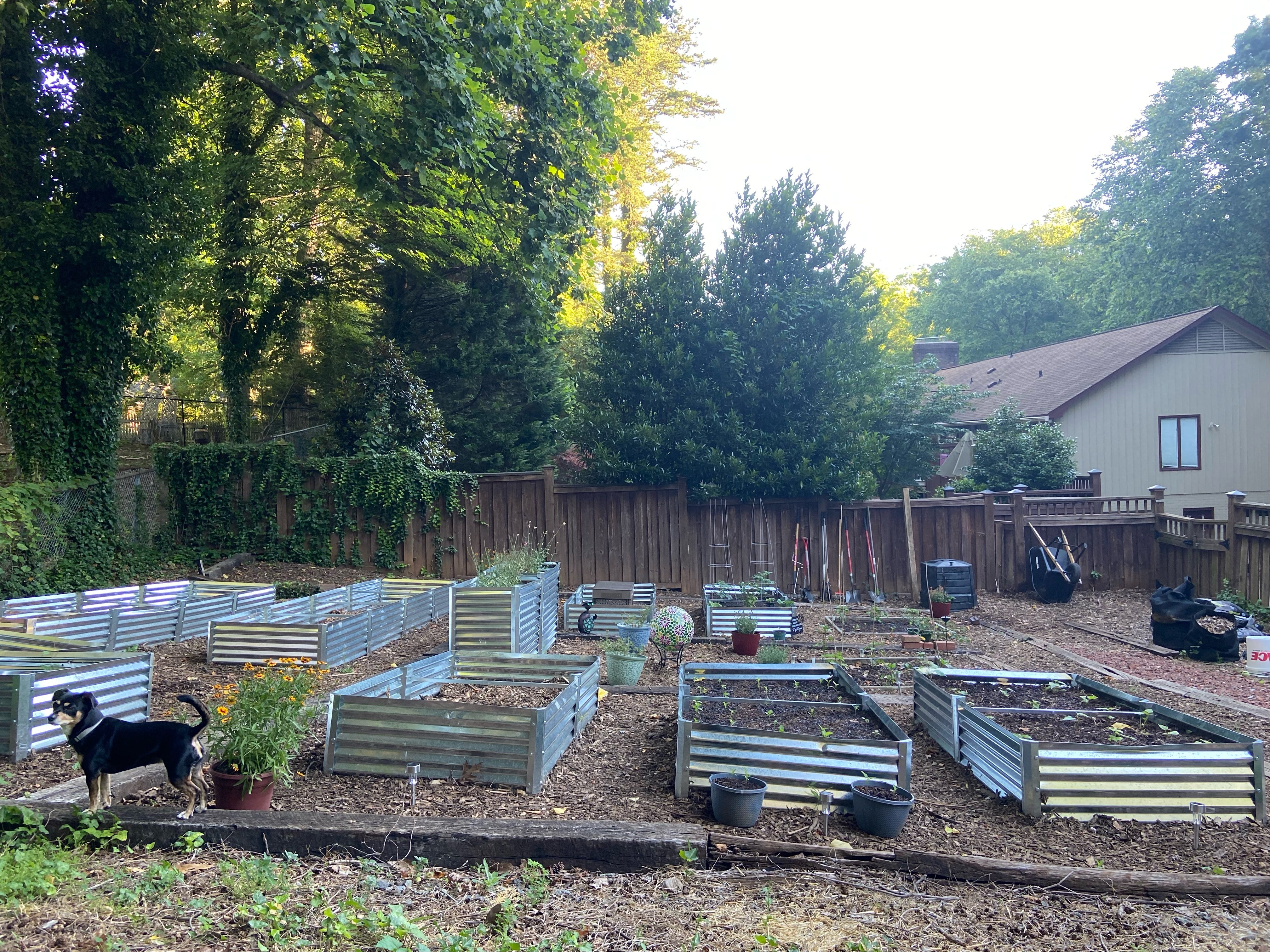 From Holley, With Love