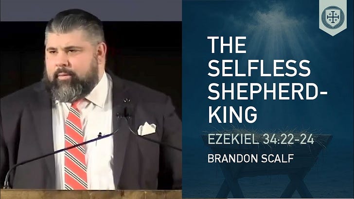 The Selfless Shepherd-King episode artwork