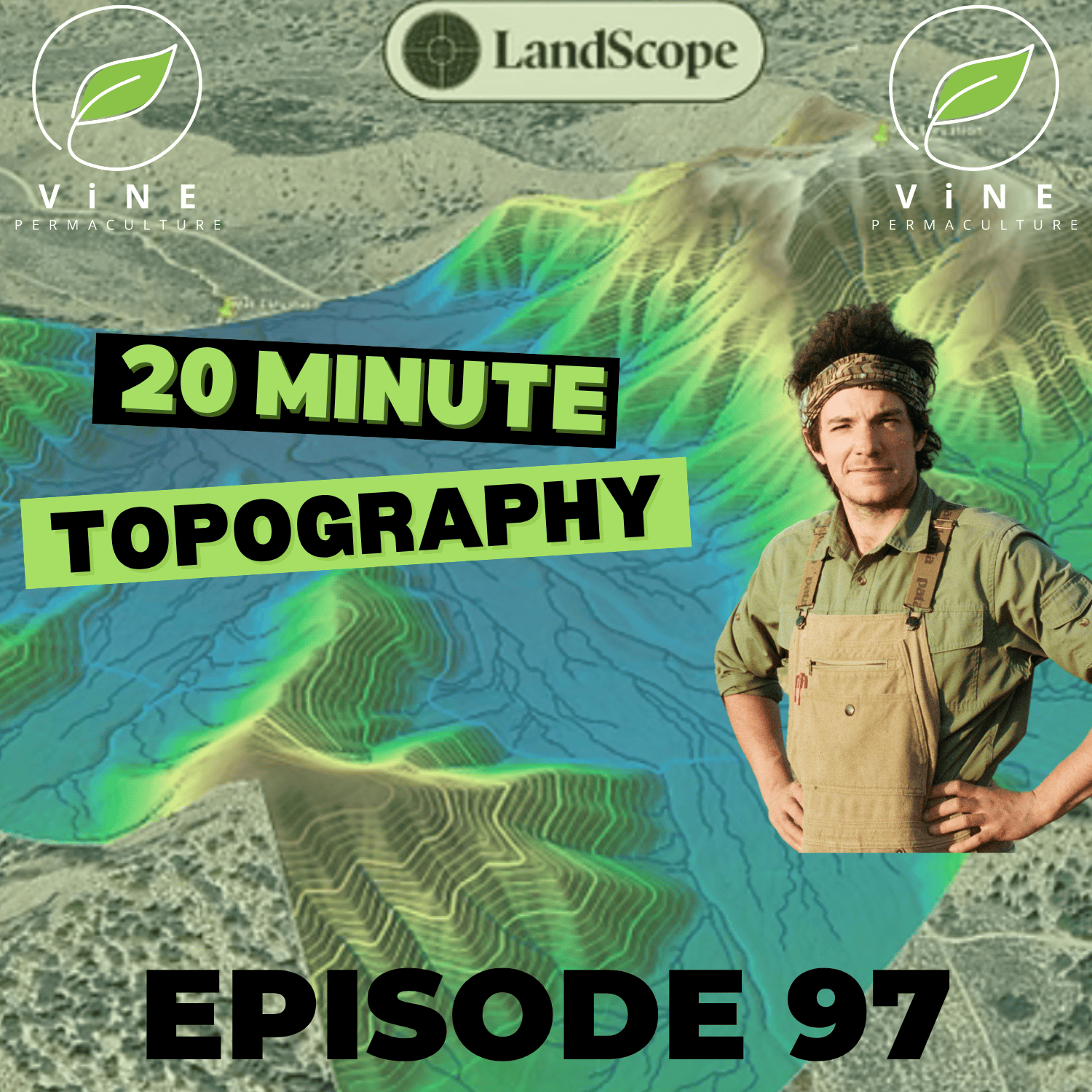 The Permaculture Vine