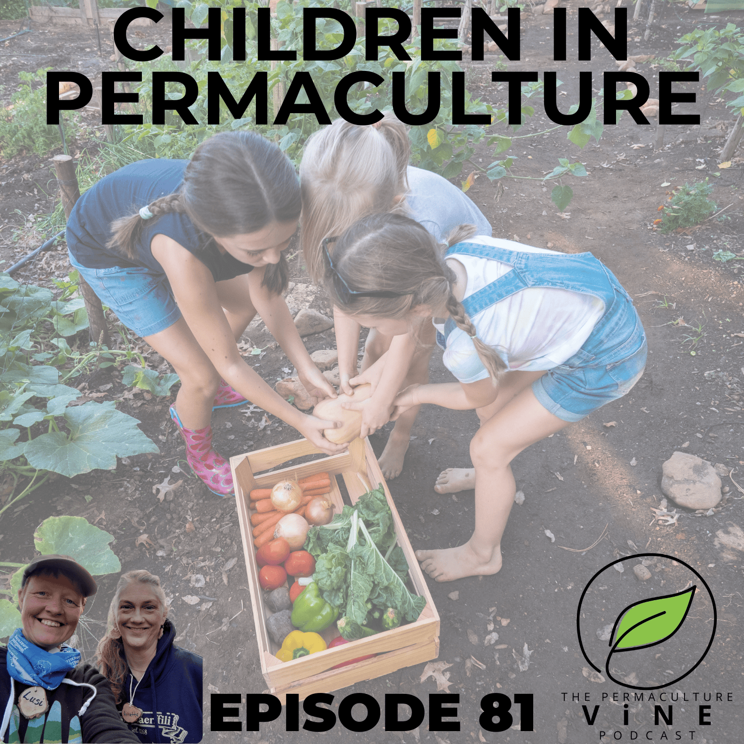 The Permaculture Vine