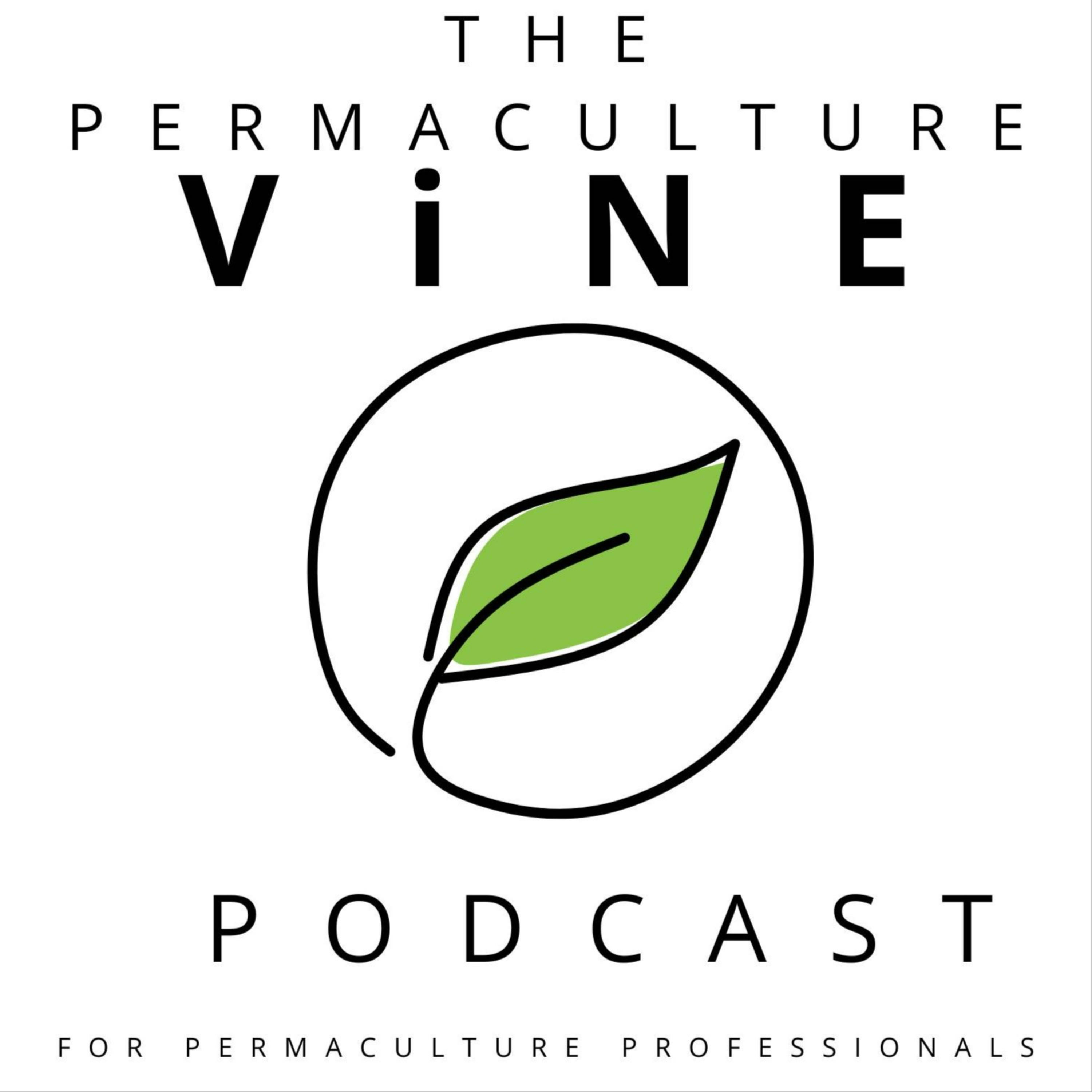 30. Permaculture In The Arts with Liz Postlethwaite of Small Things Creative Projects episode artwork