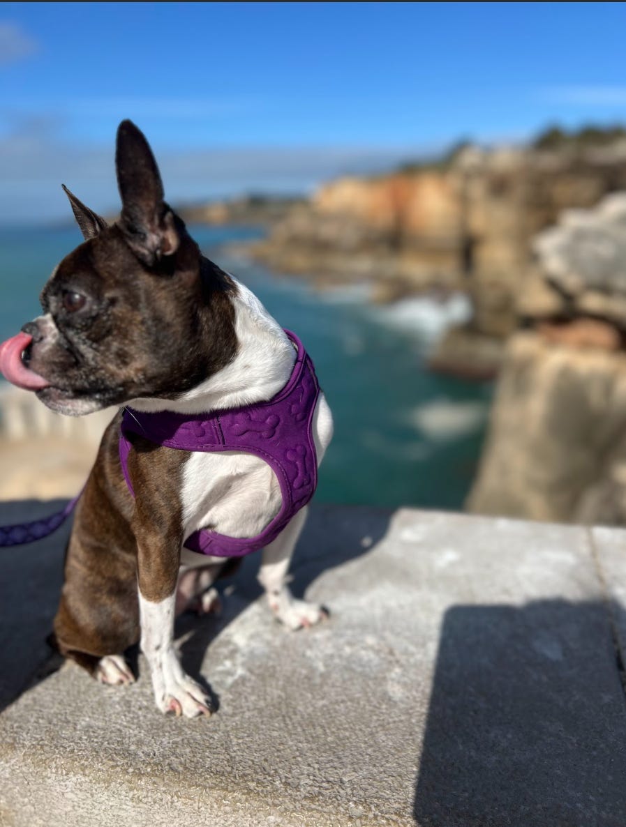 So I Interviewed My Husband Today...