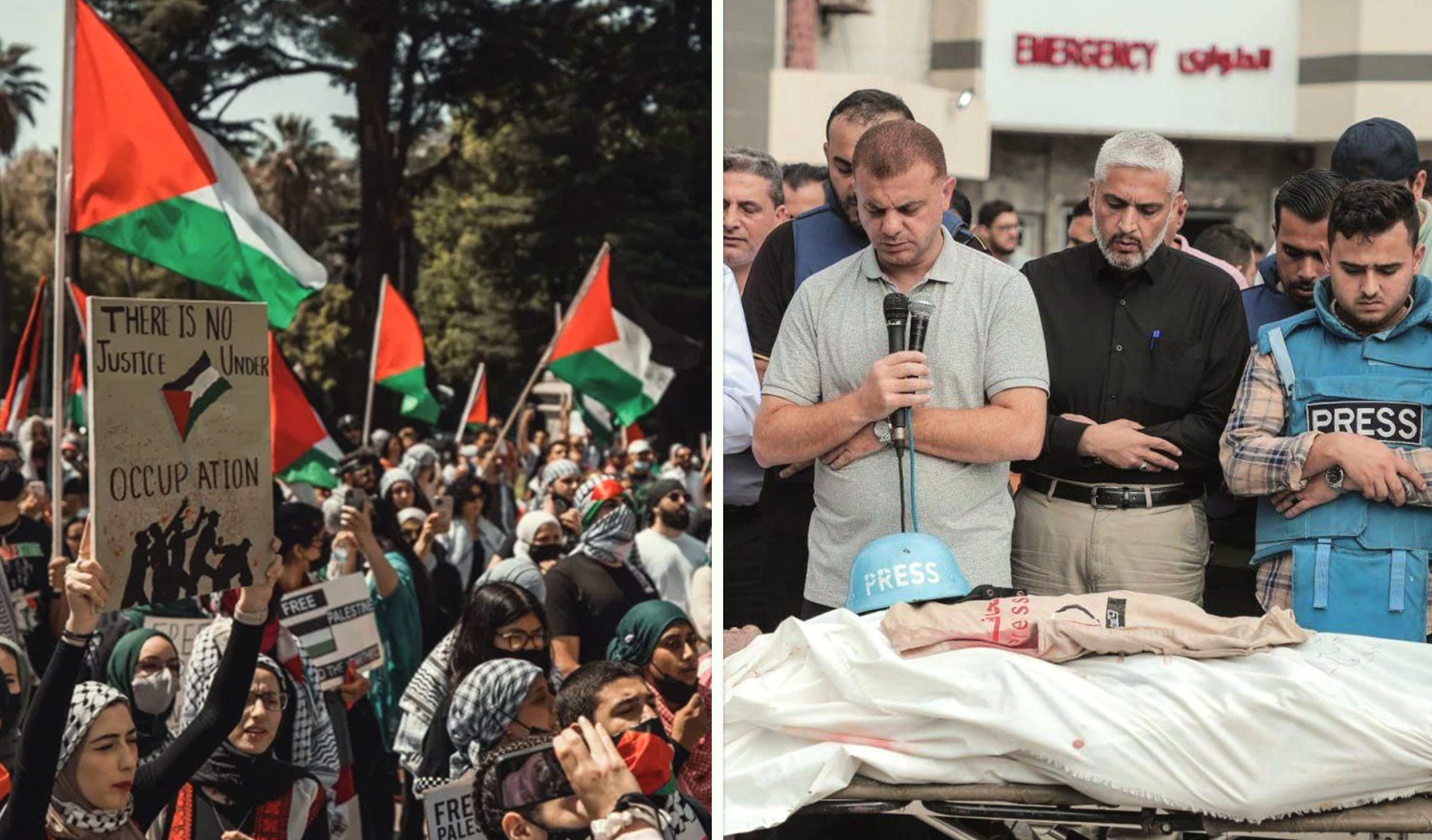 Responding to the responses to Gaza, with Rozina Ali