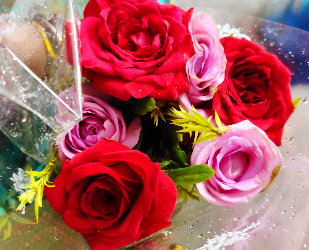 Kimberly Grace’s Stories