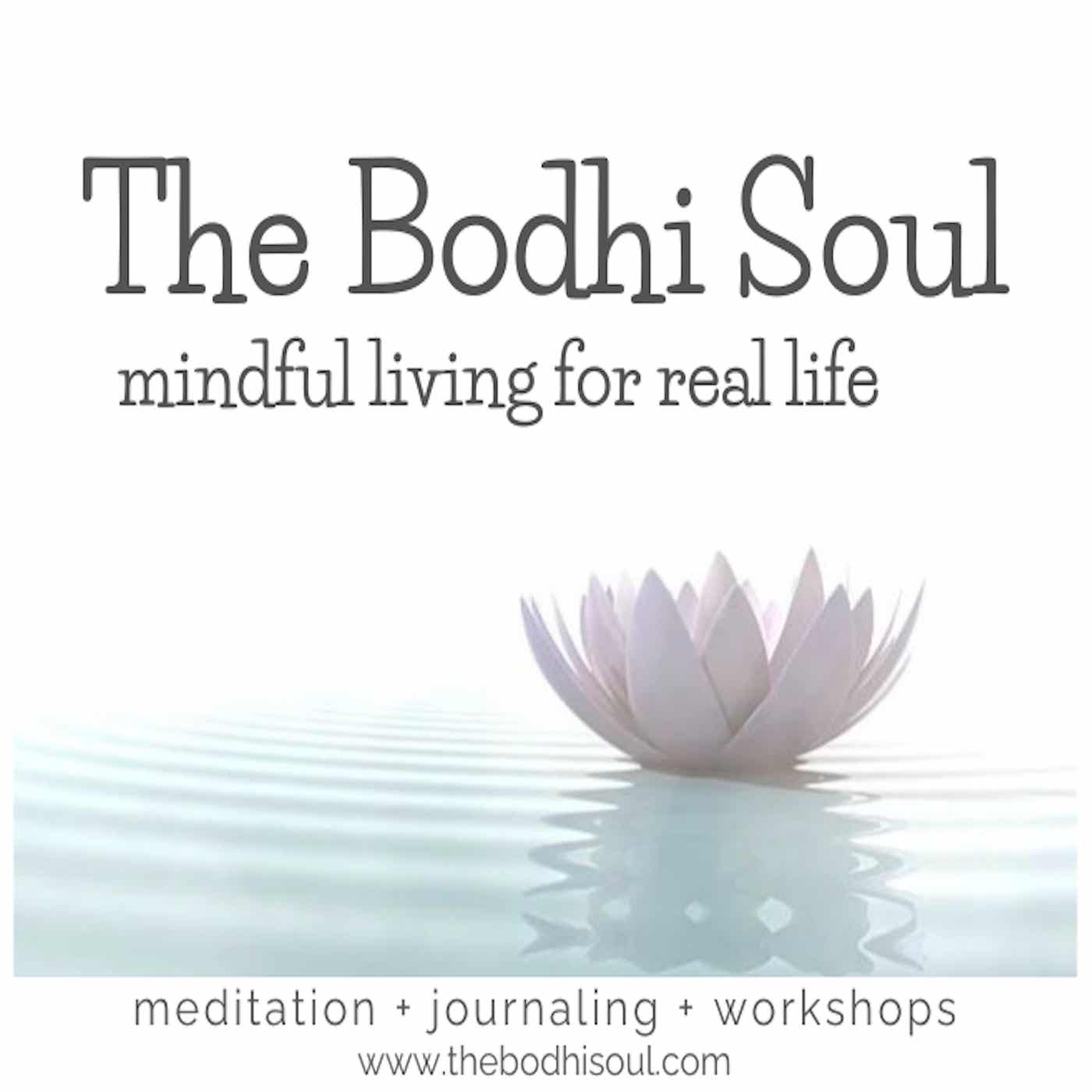 The Bodhi Soul Meditations