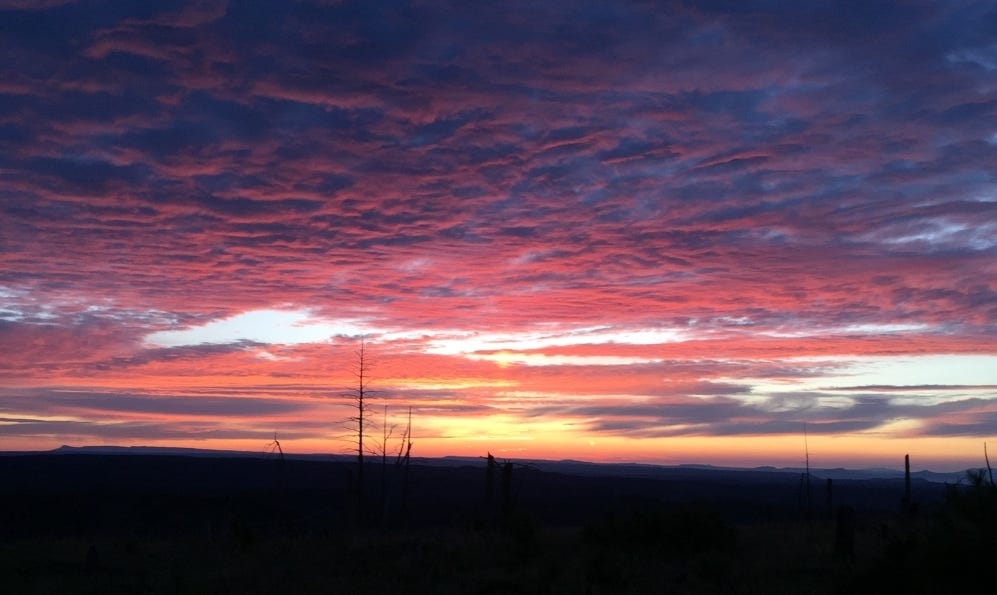 Climbing Baldy and Answering the Big Question, with Ty Ellenbogen