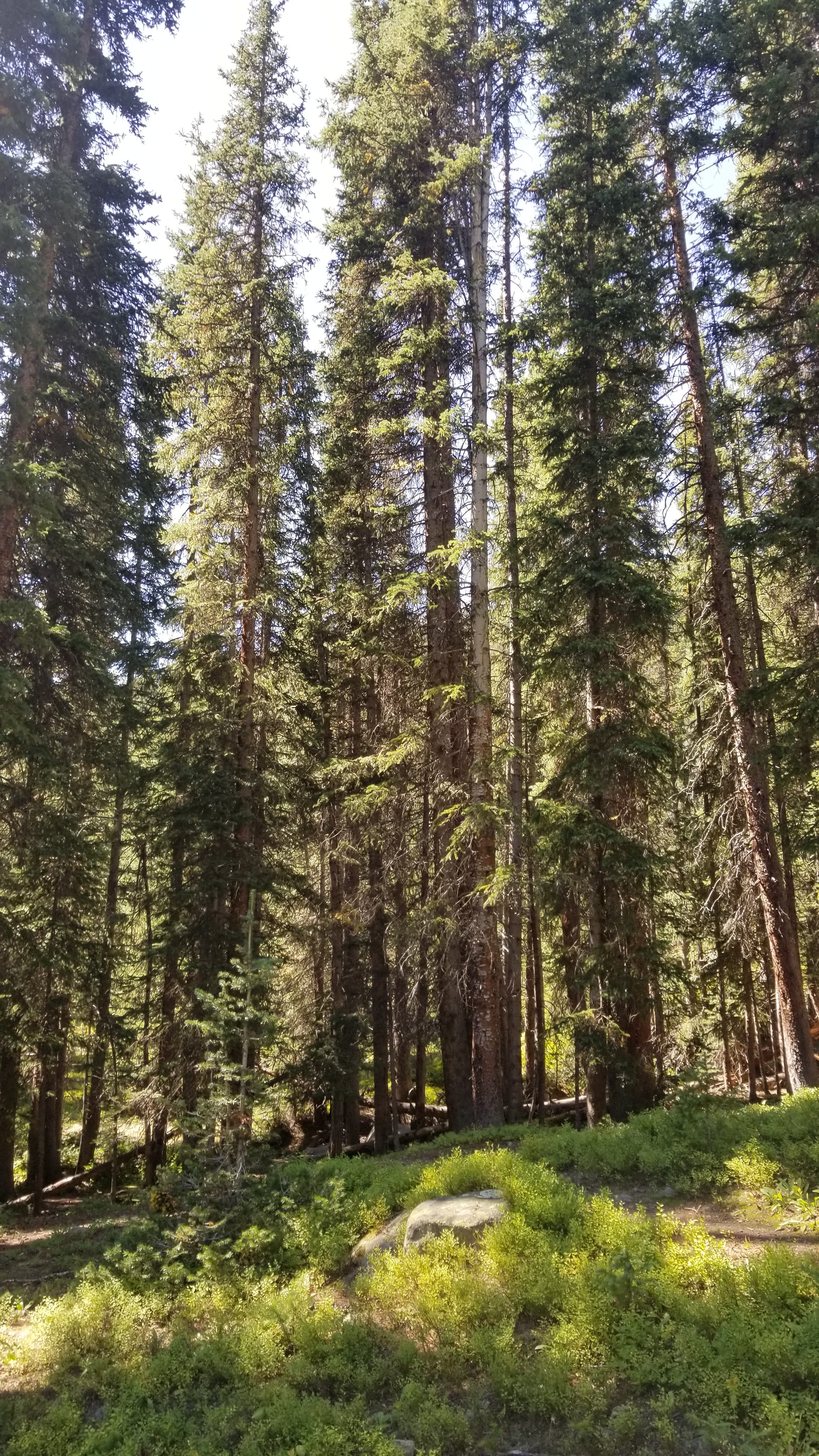 From Chaos, Integrity — Learning to Thrive Through the Outdoors with Asha Sanaker