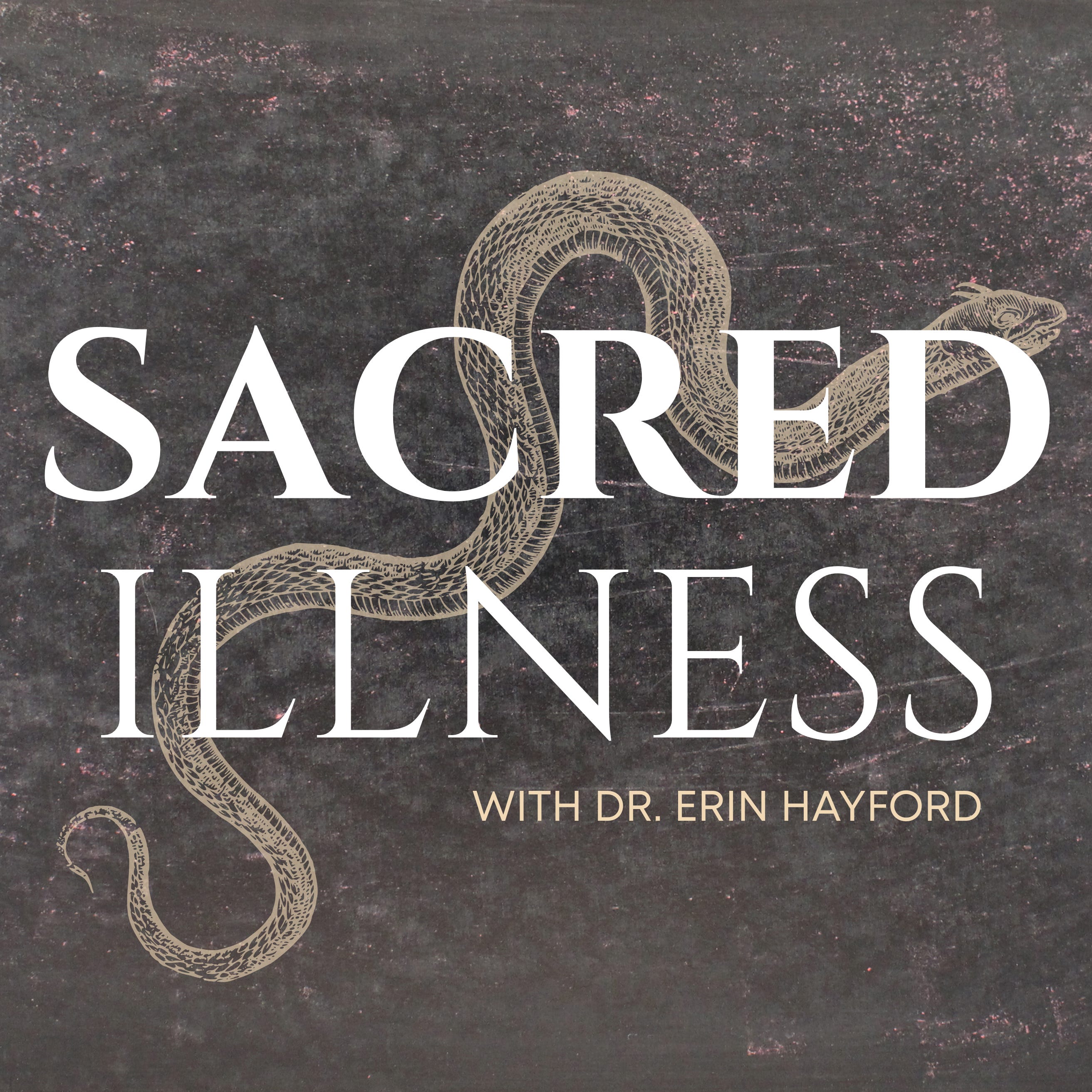 Ep 43: When the Body Speaks — Healing Through Touch and Story with Audrey Burke