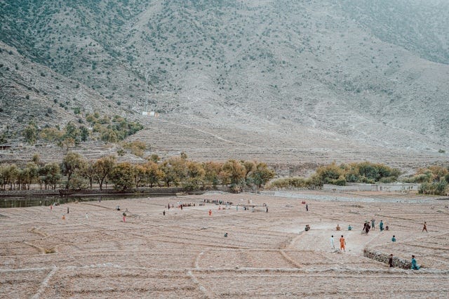 Dispatches with Hollie McKay