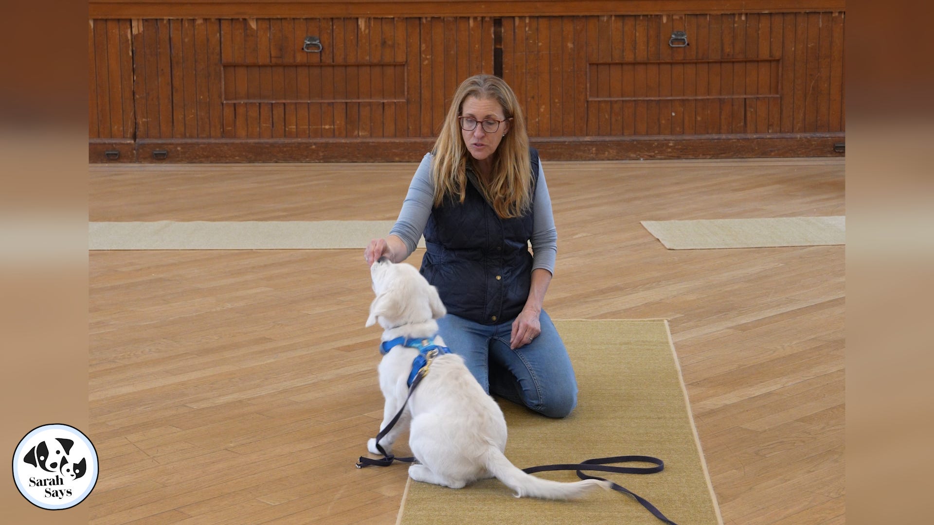 Raising Happy Dogs with Sarah Hodgson
