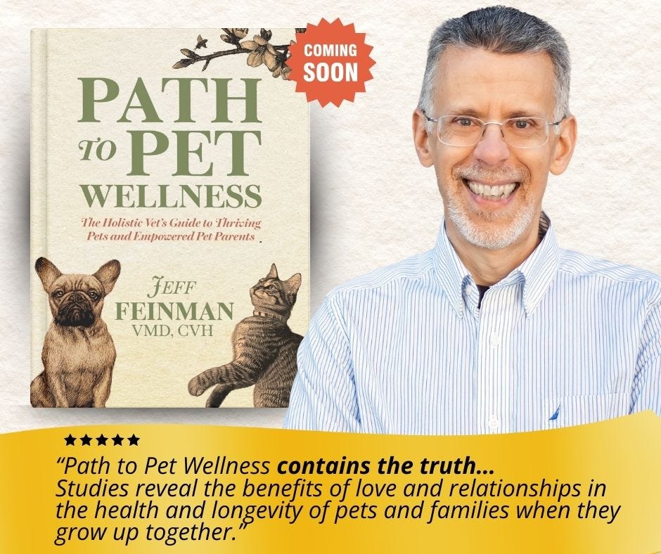 The Healing Power of Joy: A Conversation with Dr. Jeff Feinman