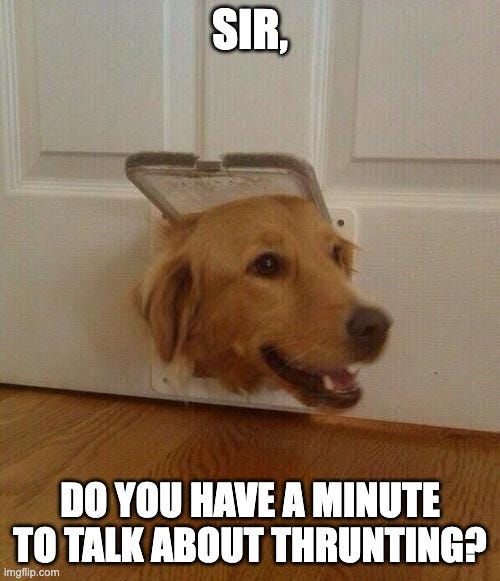 Ask-a-Thrunter: The Recap Is Here 🐏