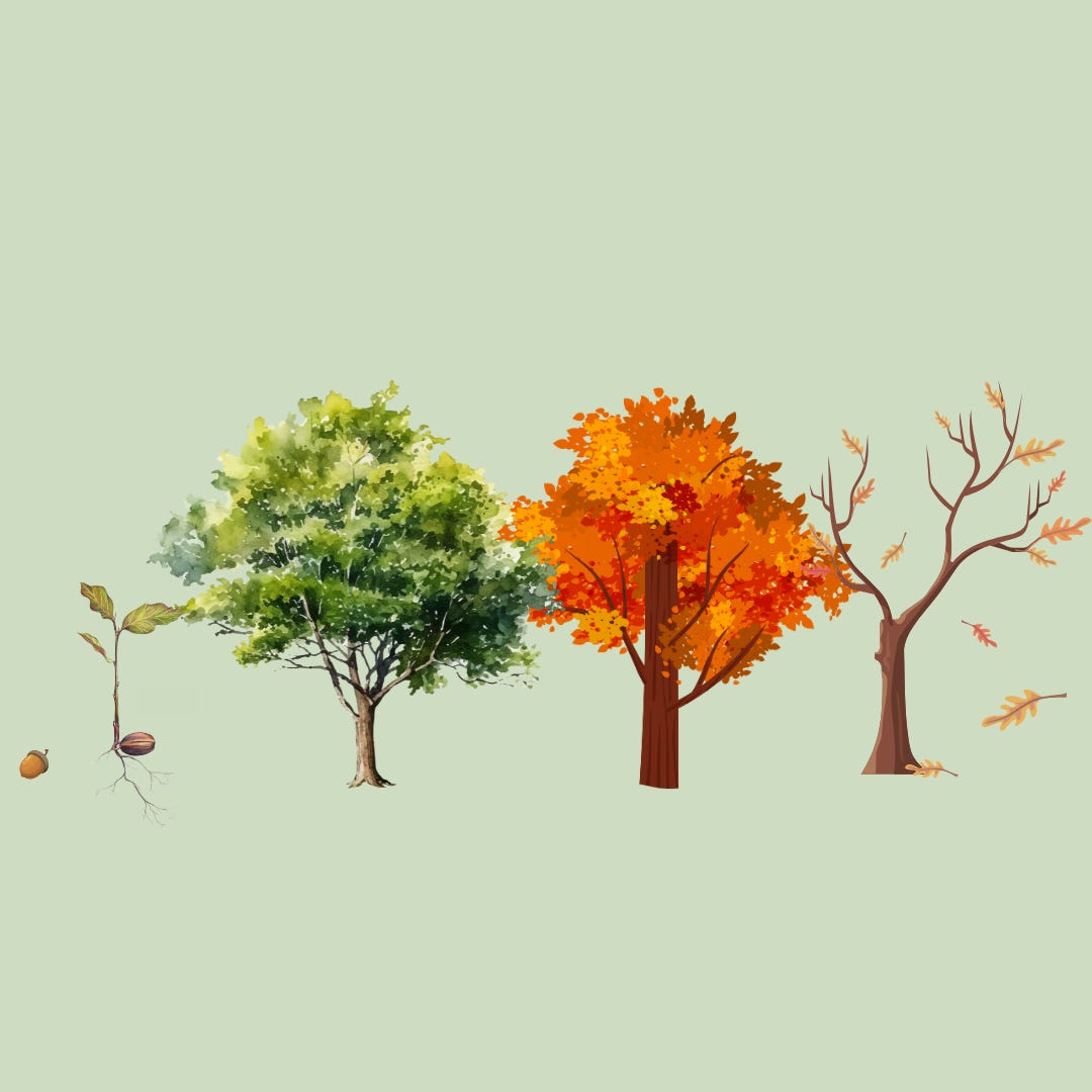 Sermons for the Journey Podcast