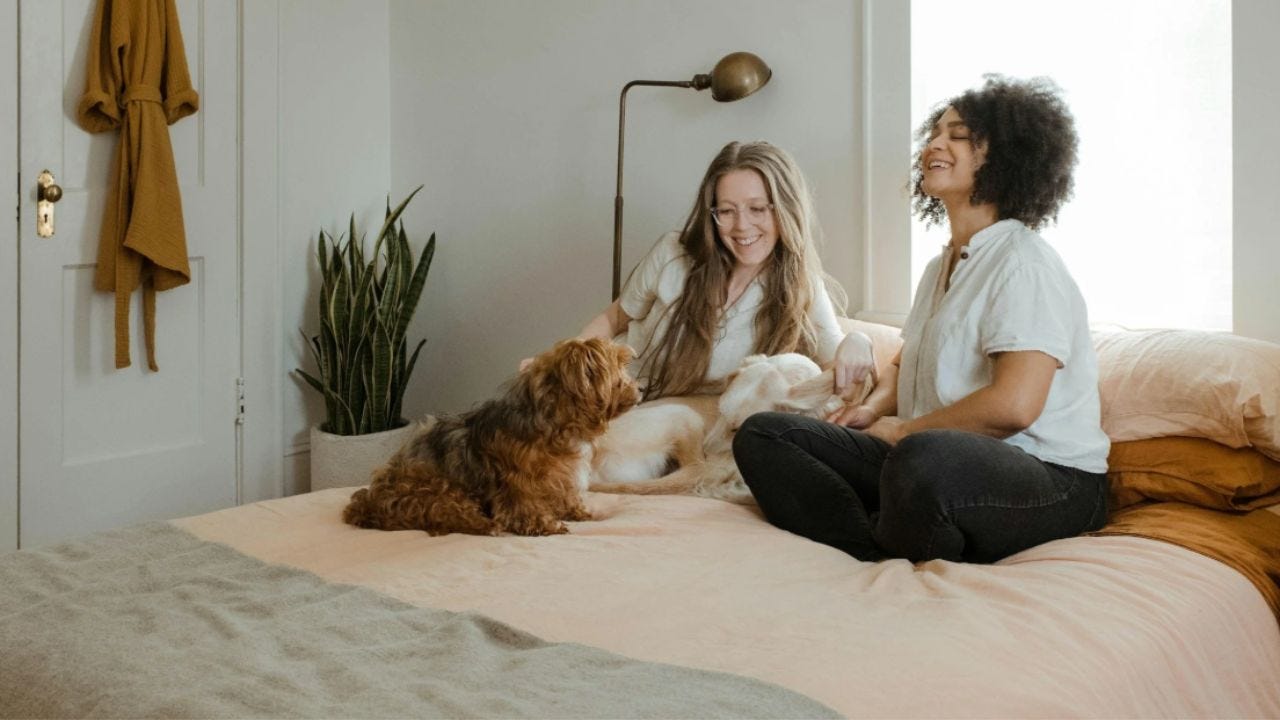 How to understand toxic relationships, and gain healthy ones How to understand toxic relationships, and gain healthy ones