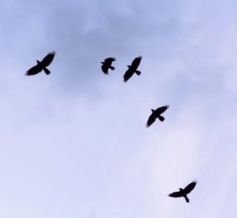 Sunday, let's Breathe episode artwork