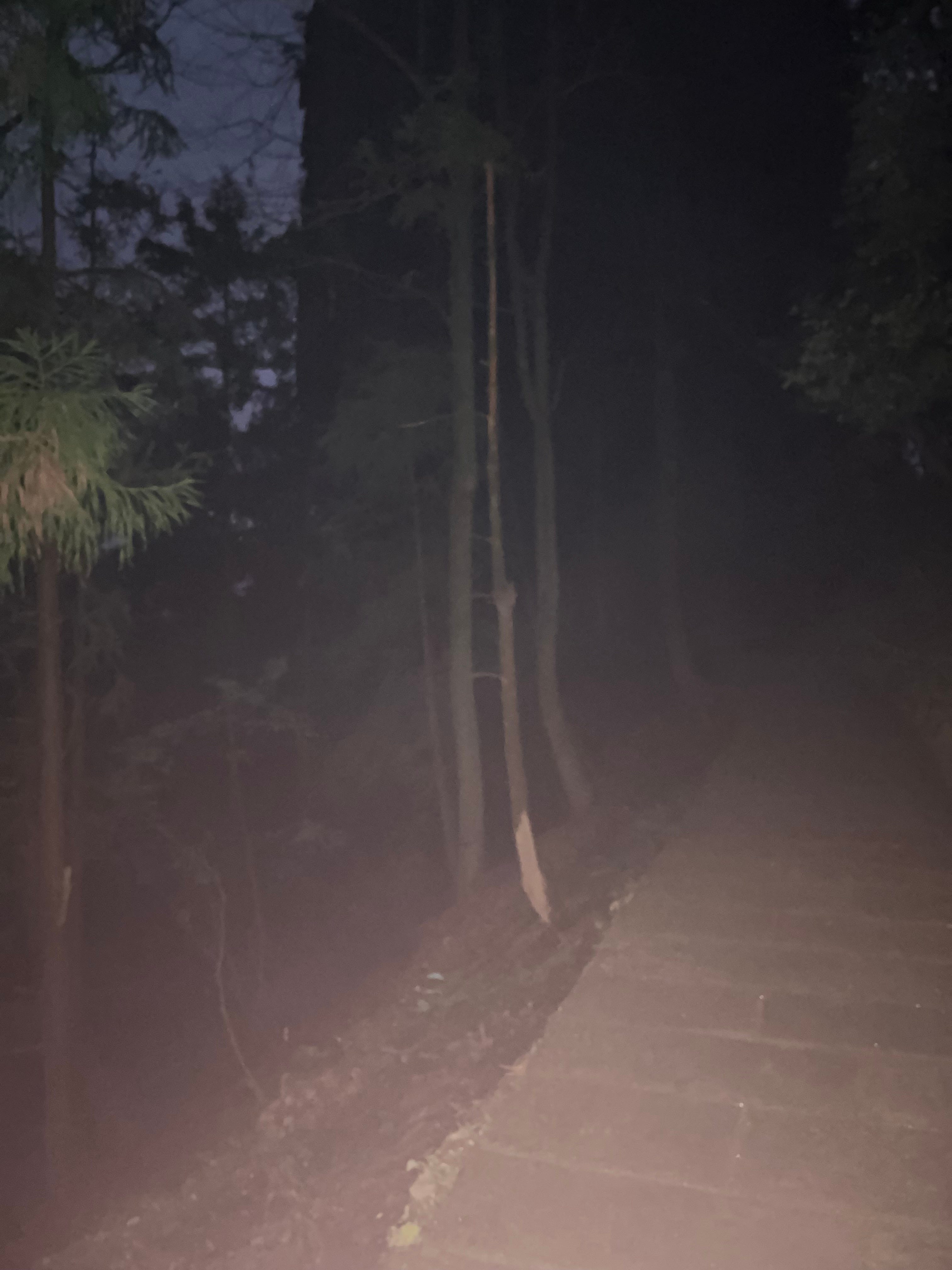 The Darkness of Zhangjiajie episode artwork