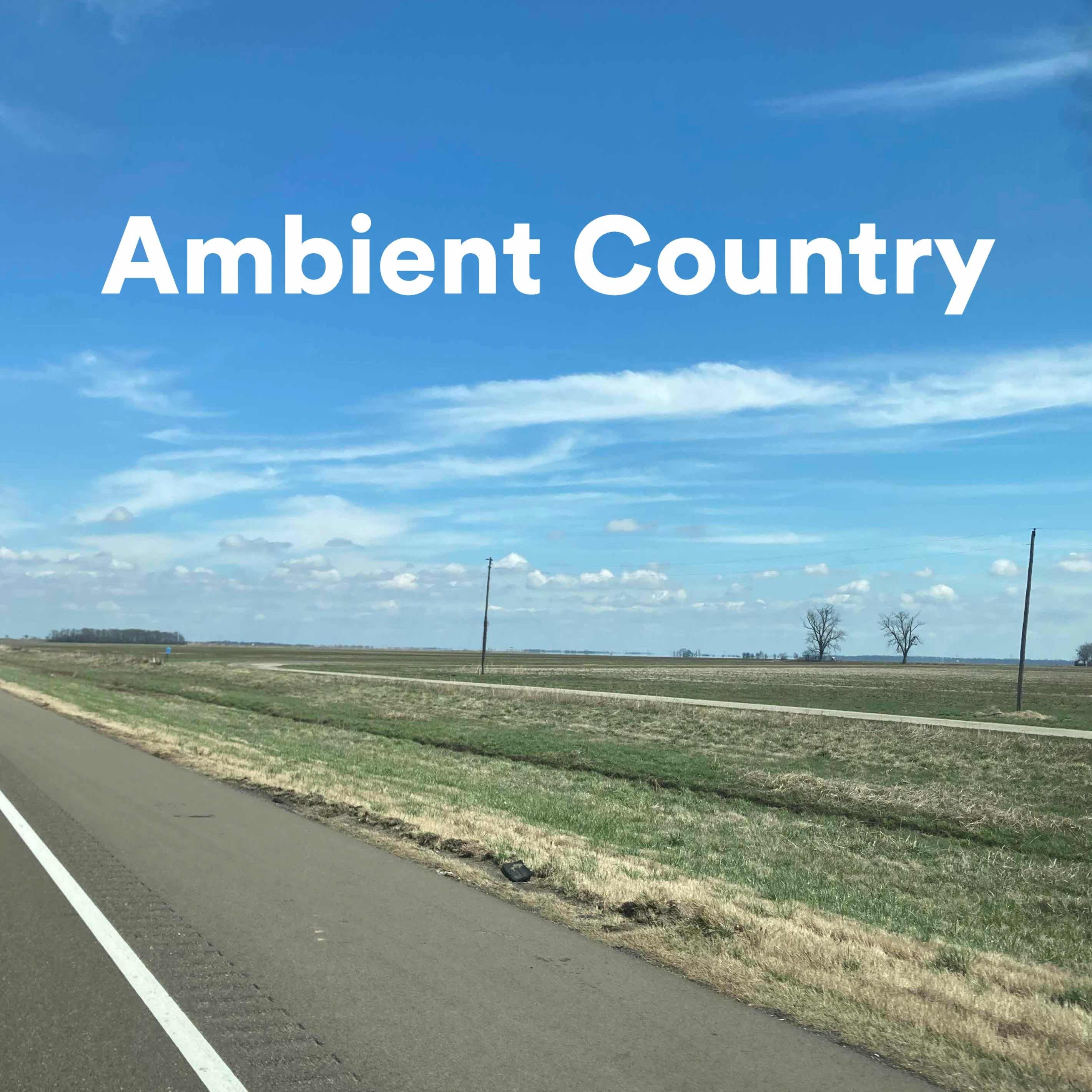 Ambient Country Episode 29: Pat Sansone