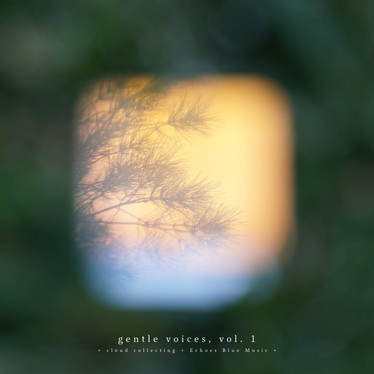 Flow State Ep. 317: Gentle Voices episode artwork