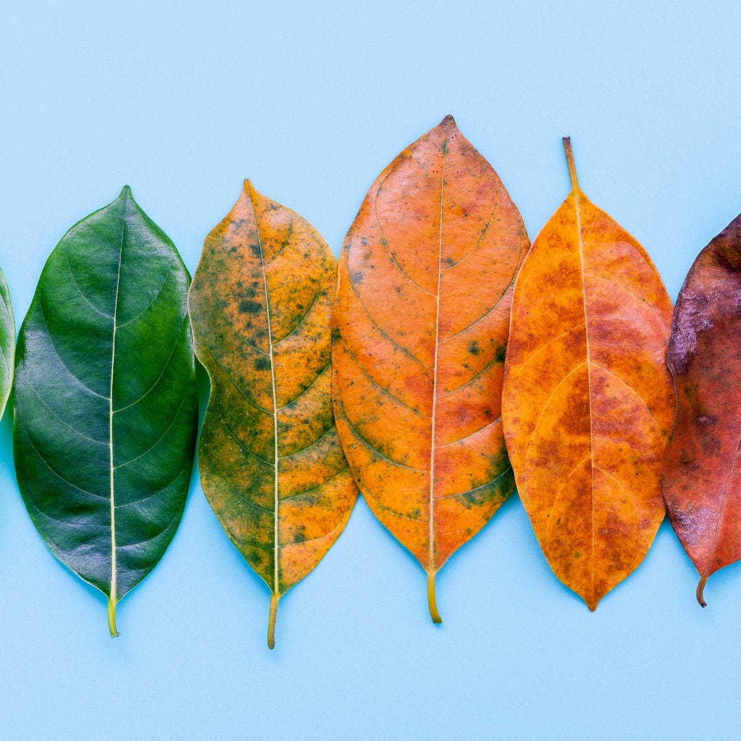 Episódio #55 - Tempo de mudar