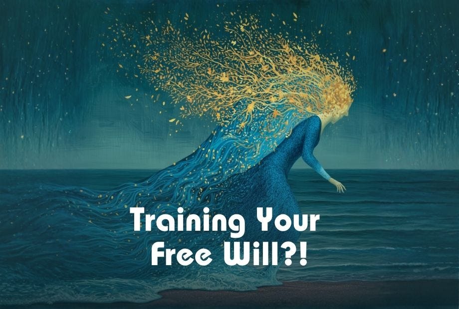 Is There Free Will?  episode artwork
