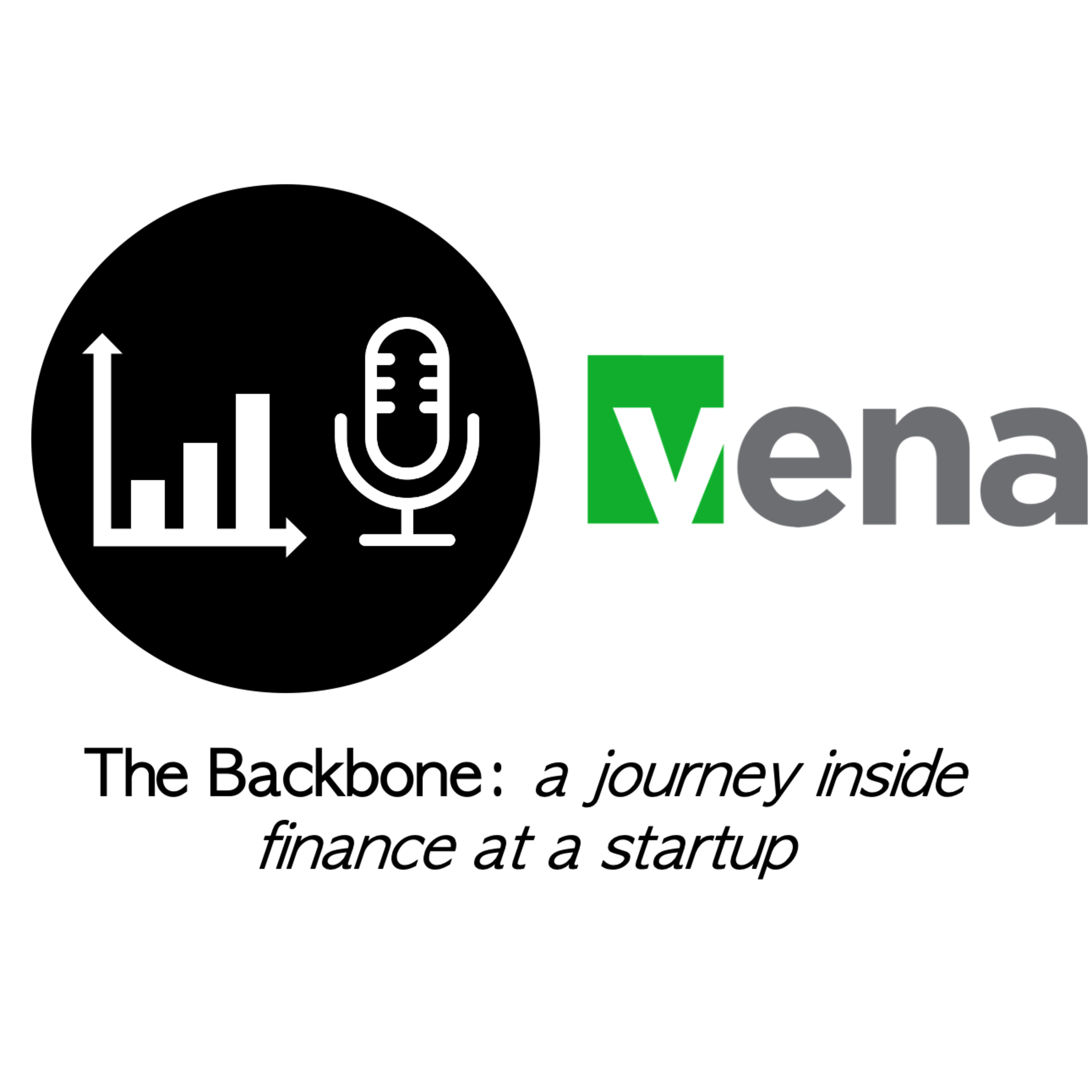 The Backbone: a journey inside finance at a startup