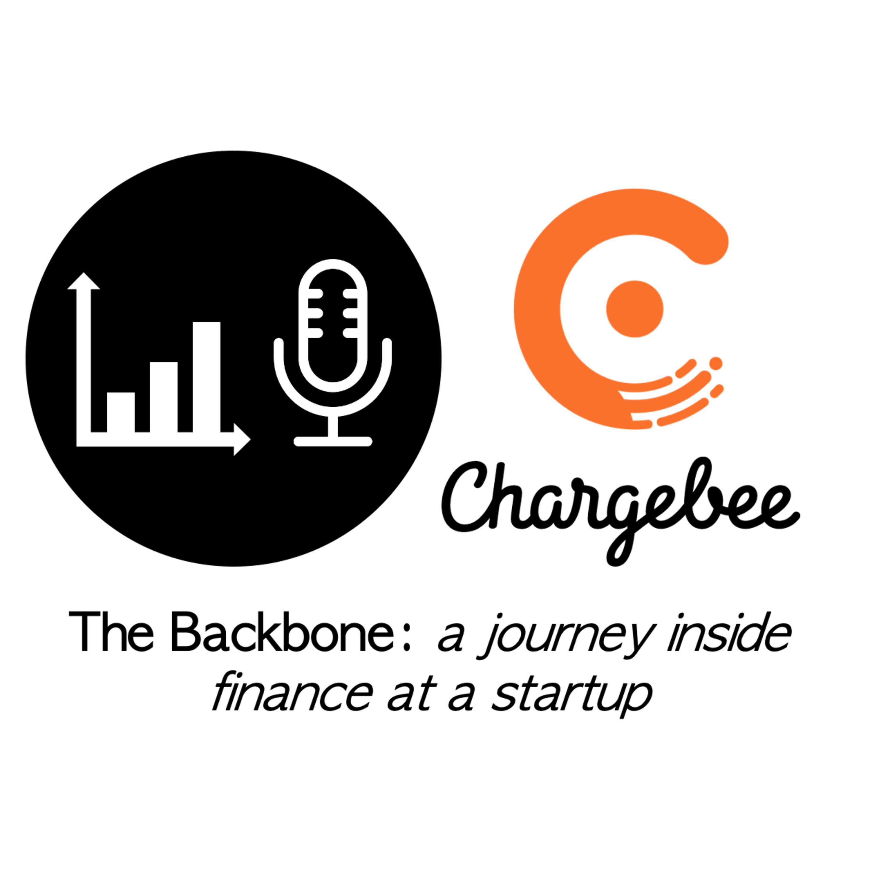 The Backbone: a journey inside finance at a startup