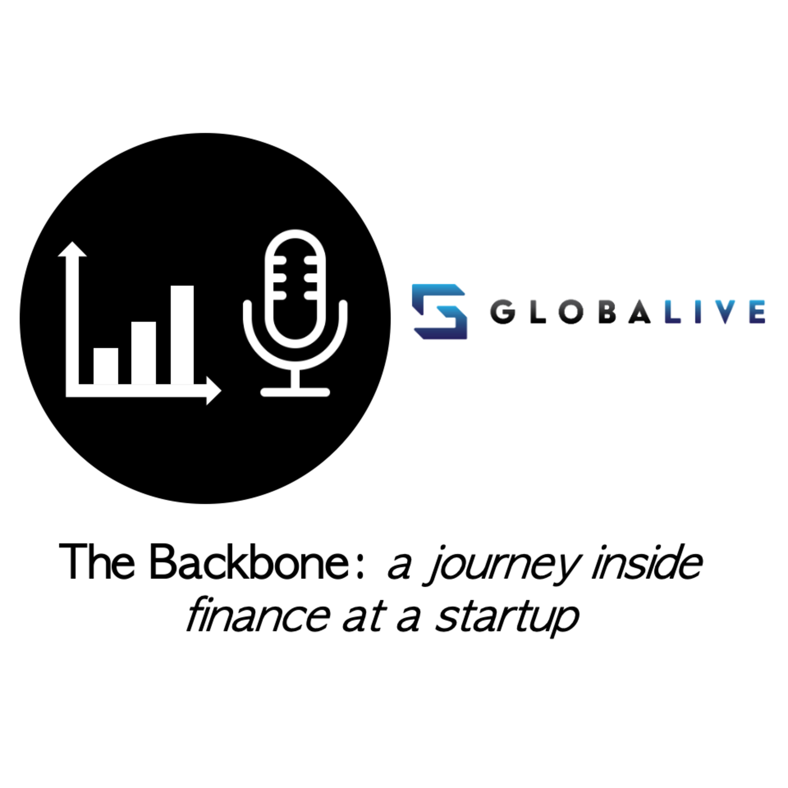 The Backbone: a journey inside finance at a startup
