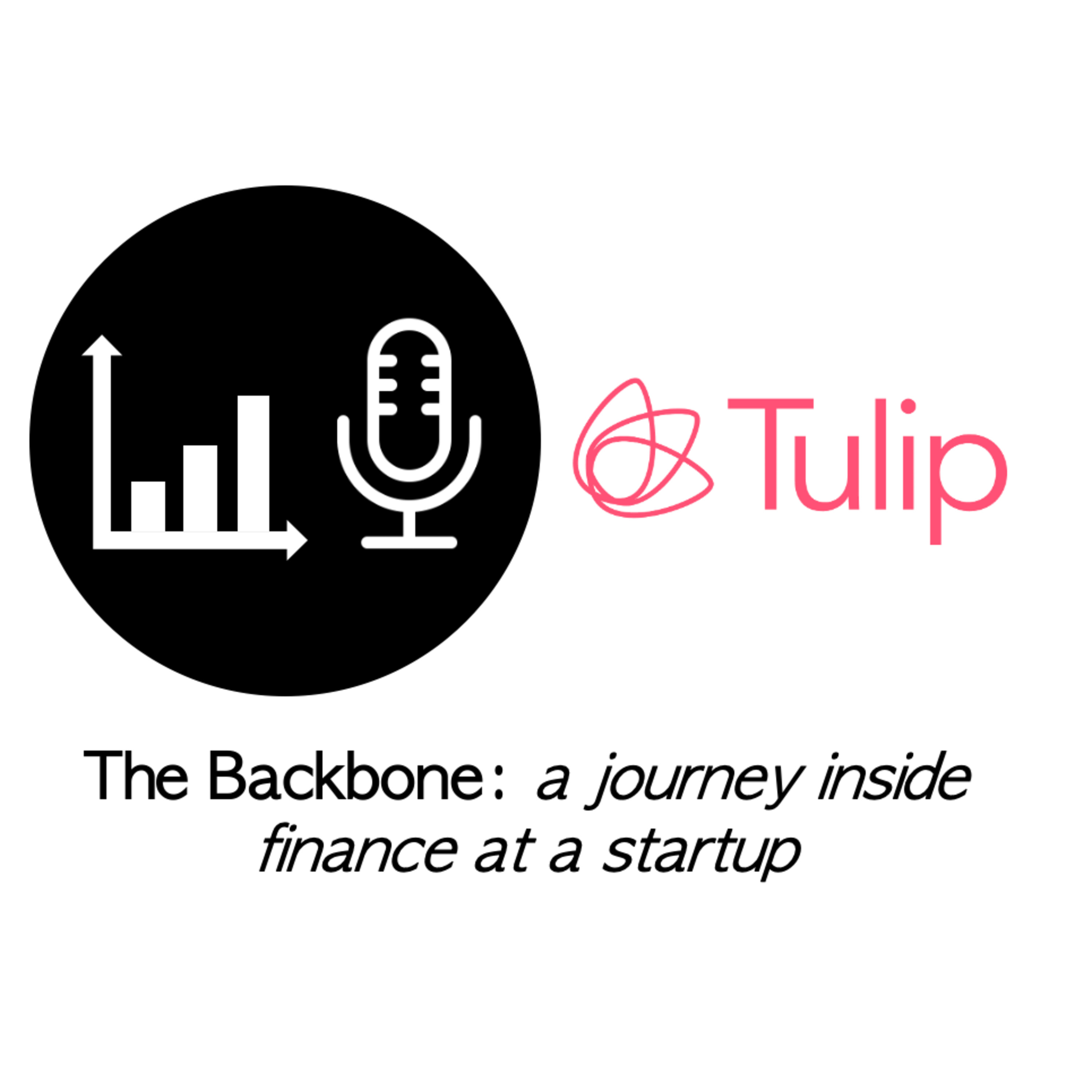 The Backbone: a journey inside finance at a startup
