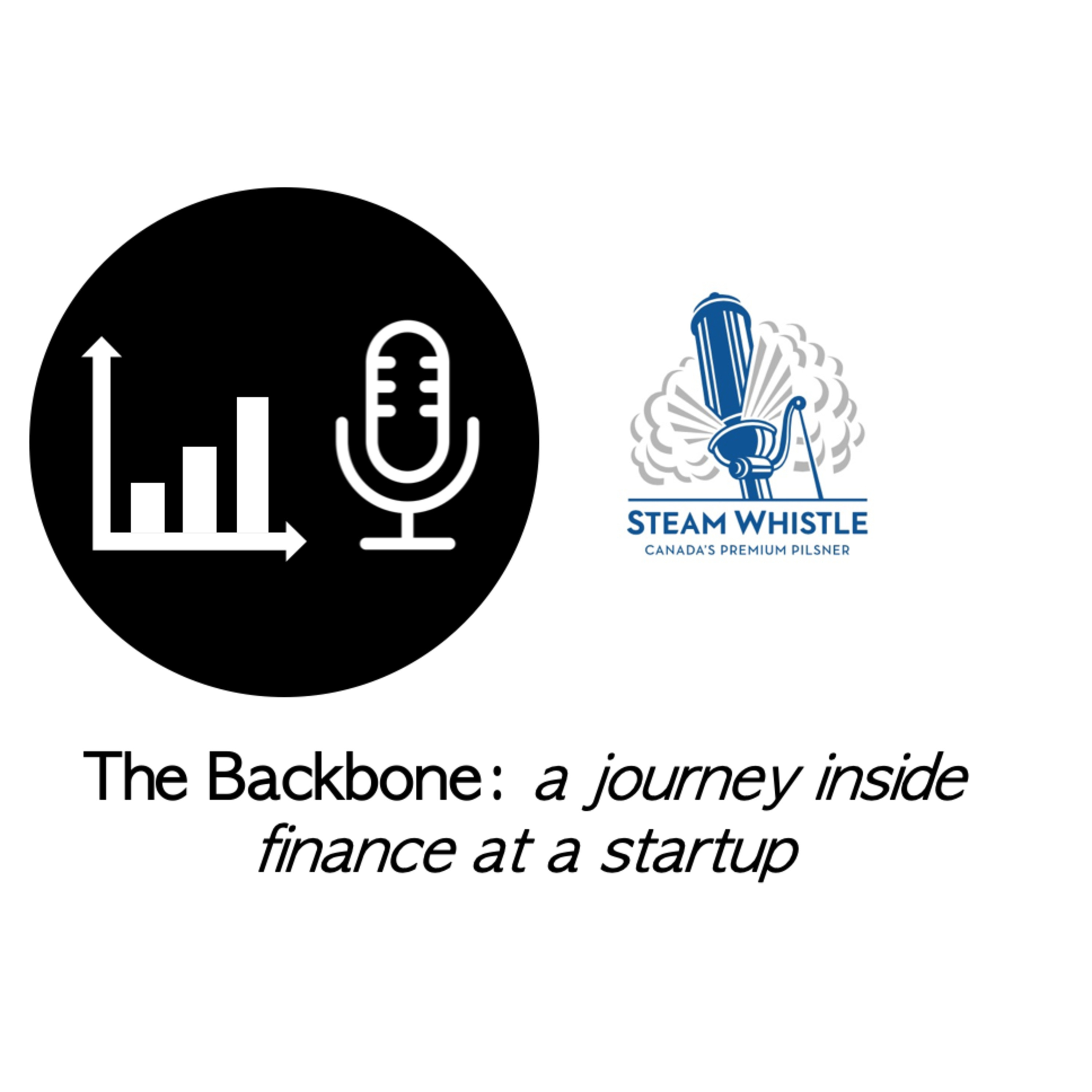 The Backbone: a journey inside finance at a startup