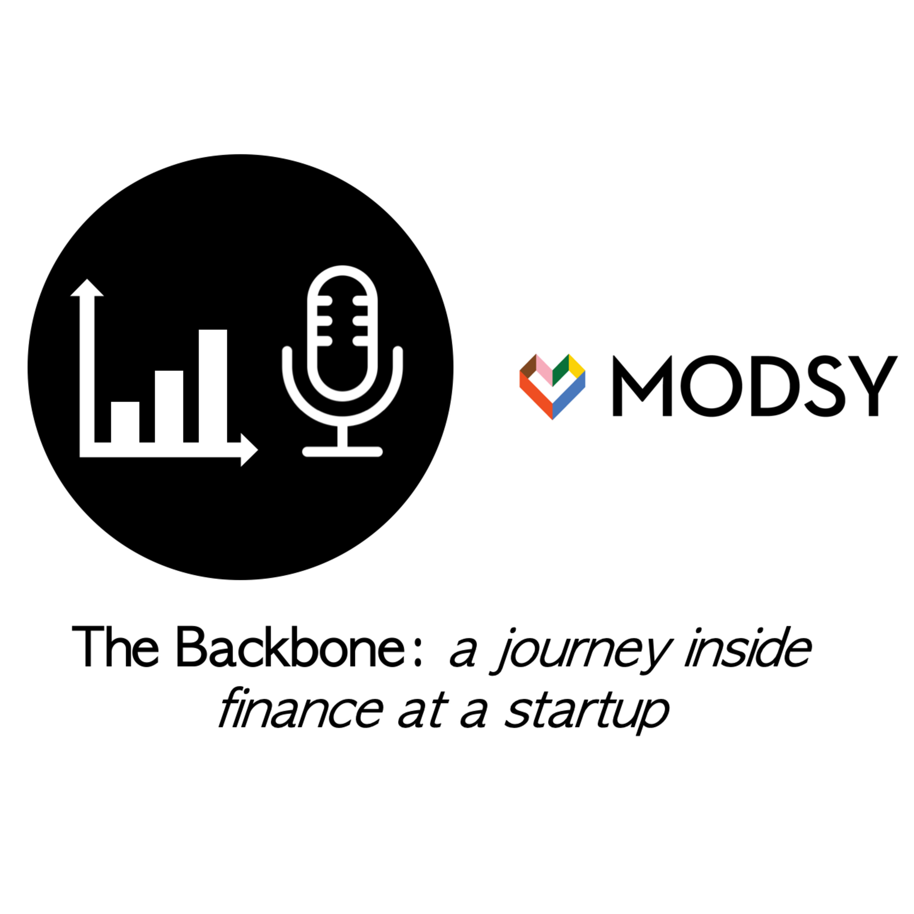 The Backbone: a journey inside finance at a startup