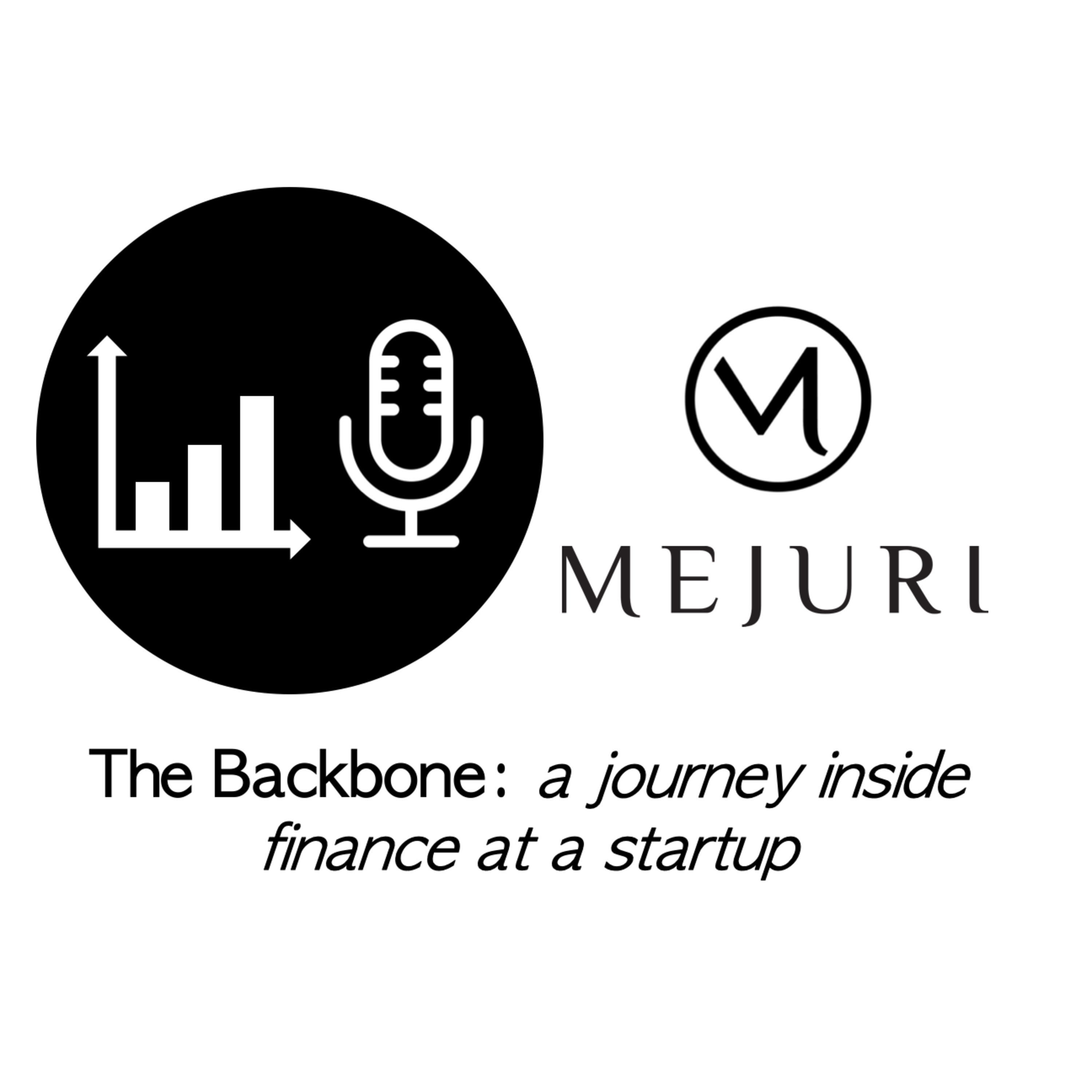 The Backbone: a journey inside finance at a startup