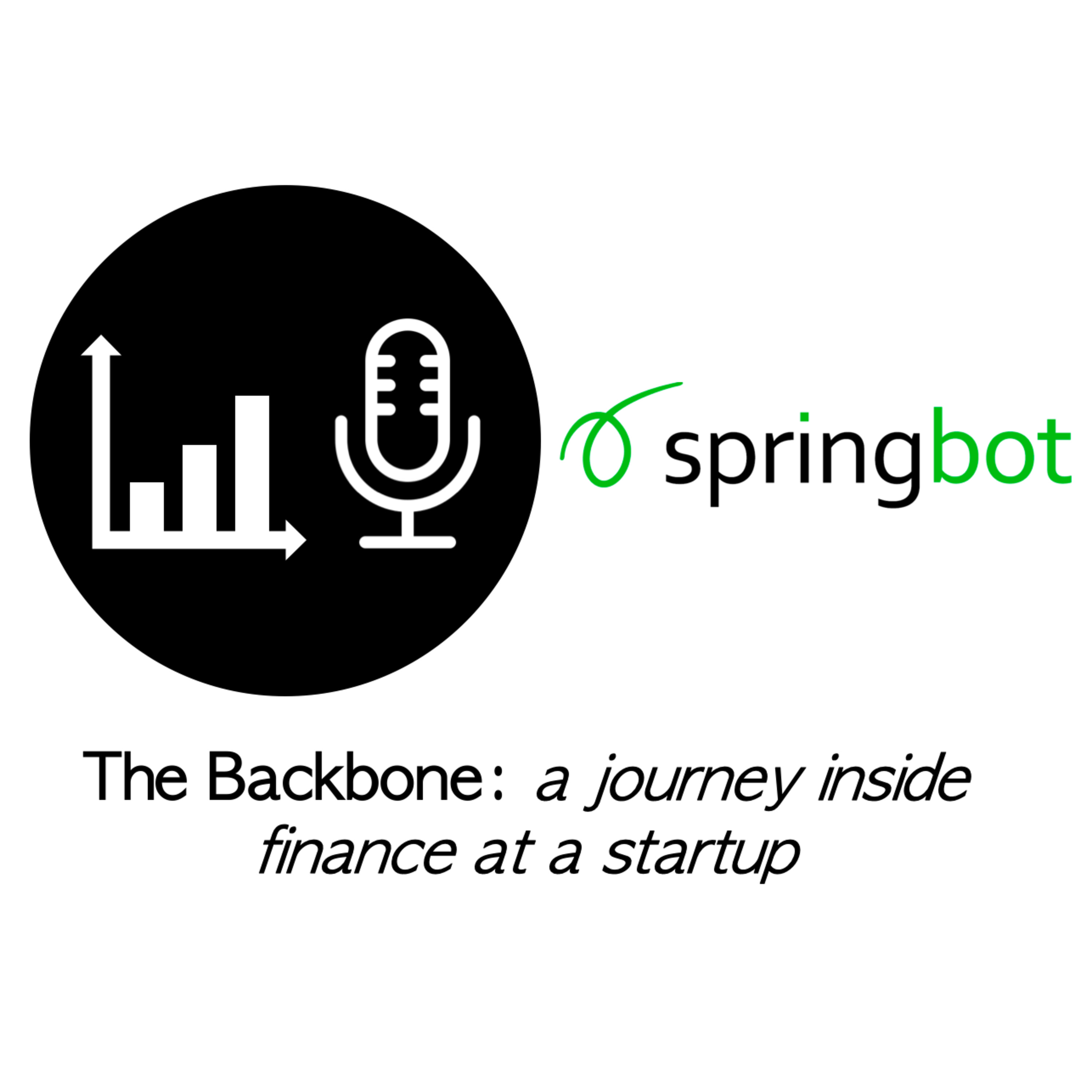 The Backbone: a journey inside finance at a startup