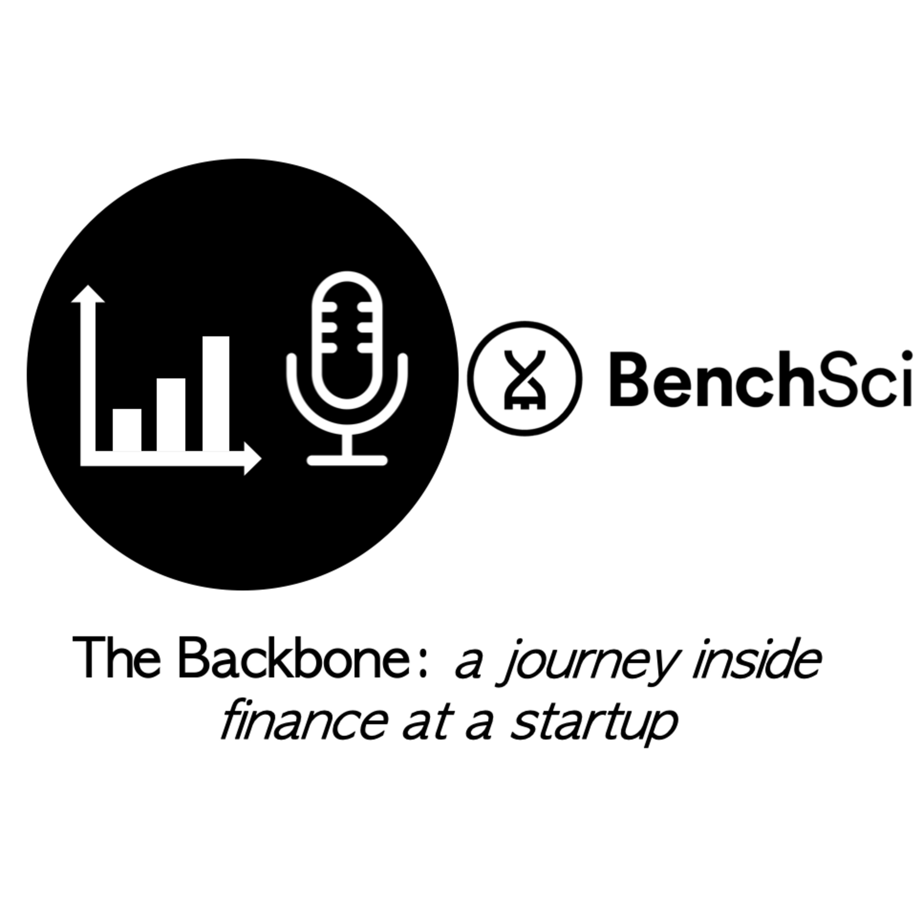The Backbone: a journey inside finance at a startup