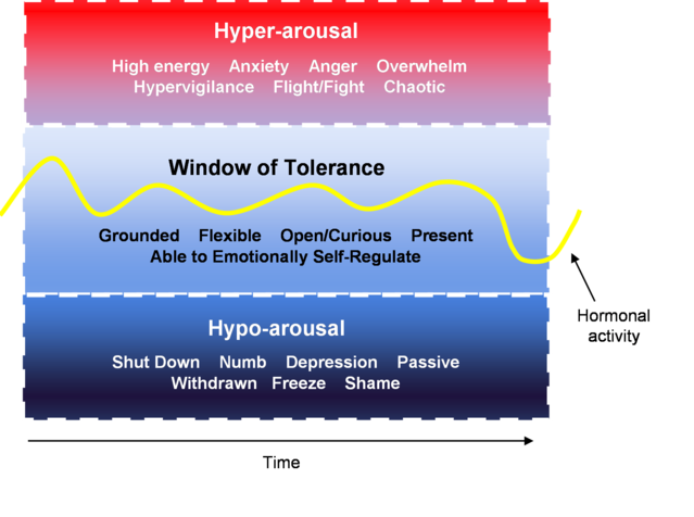 Ep 146: Unlock Your Calm: Understanding the Window of Tolerance to Overcome Anxiety & Stress  episode artwork